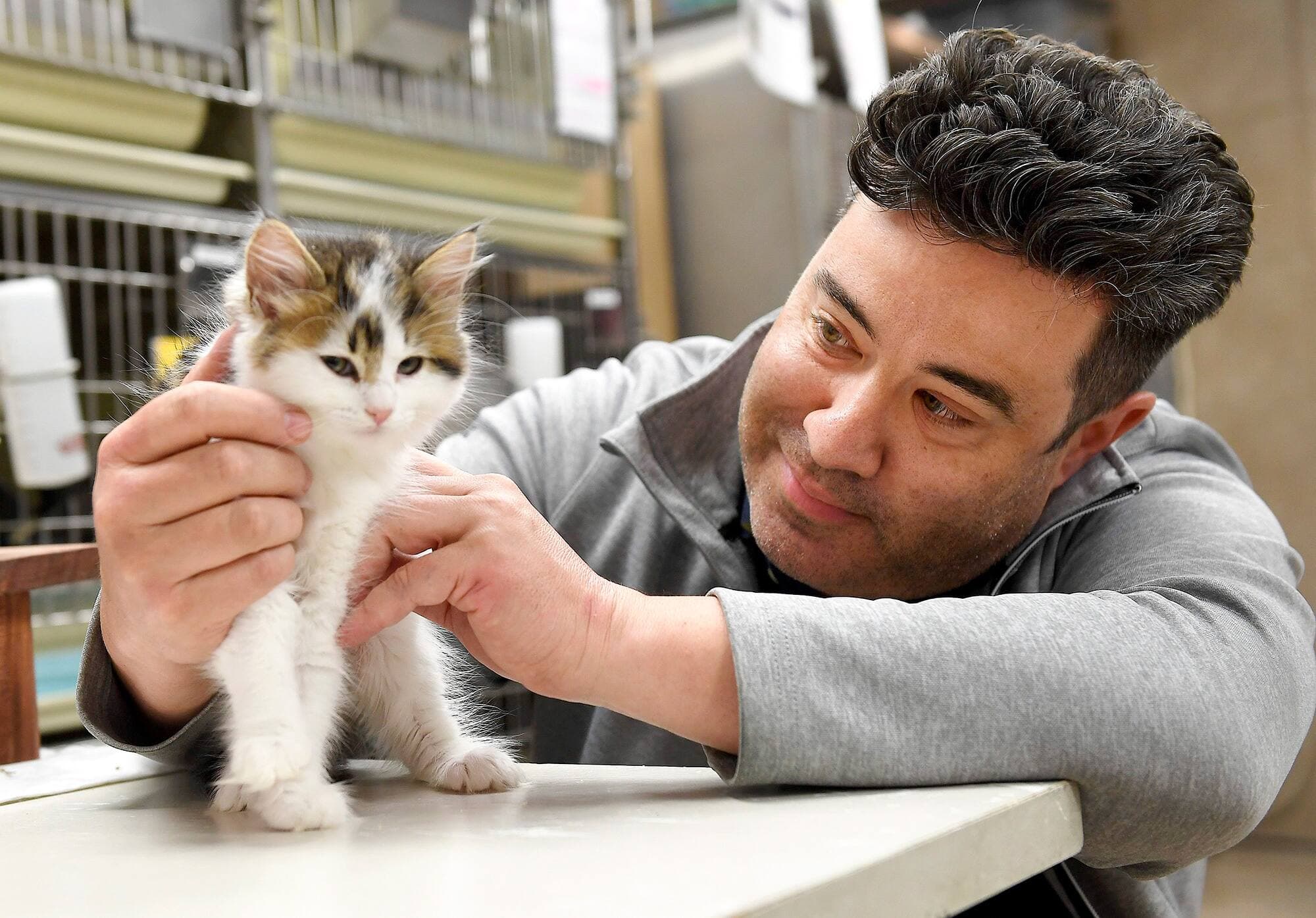 Fait rarissime depuis la pandémie, c’est la première fois que les cages pour chats en adoption sont aussi occupées à la SPA de Québec, selon Félix Tremblay, directeur général.