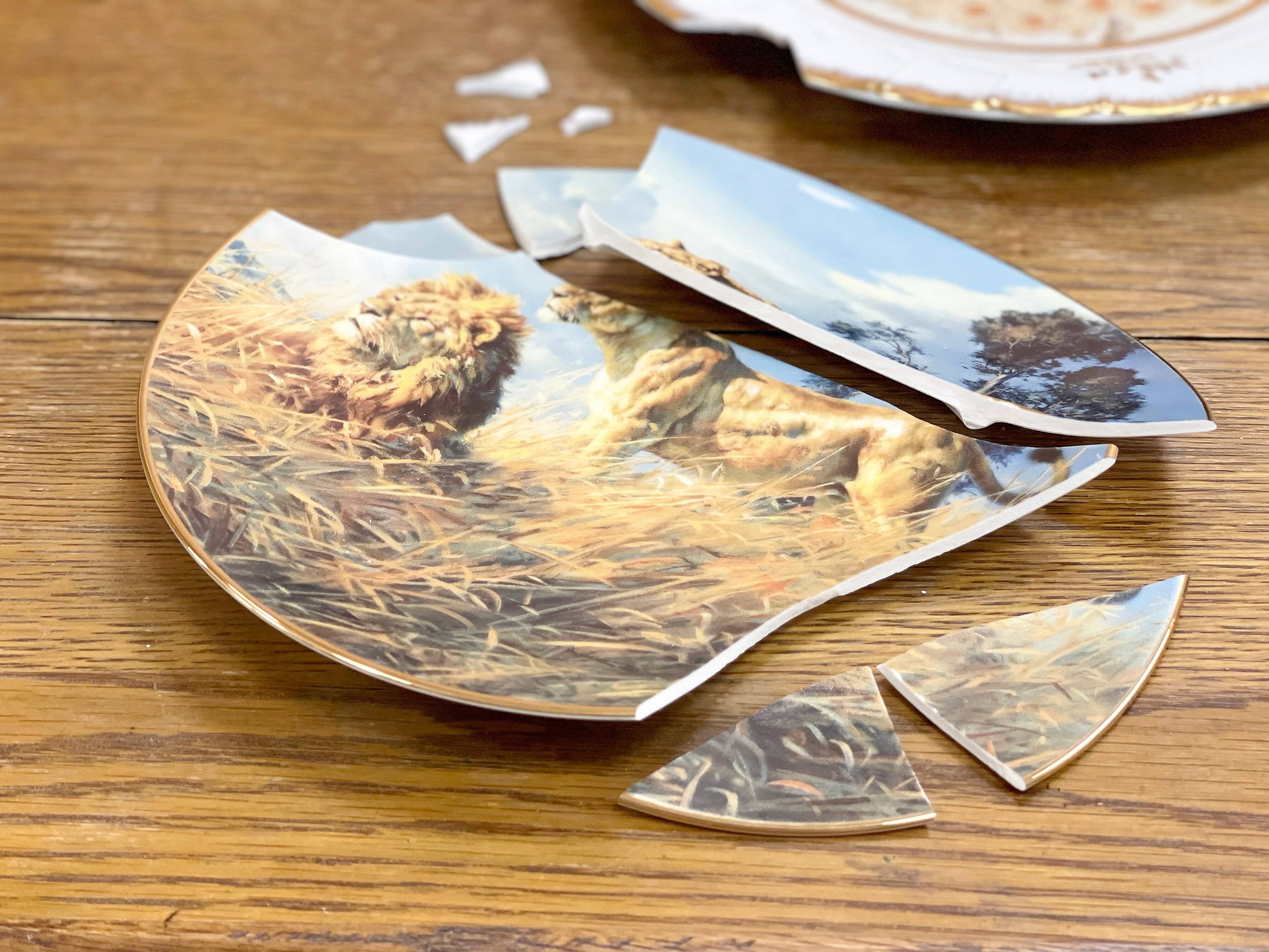 Cette assiette brisée se fera probablement recoller par l’artiste.