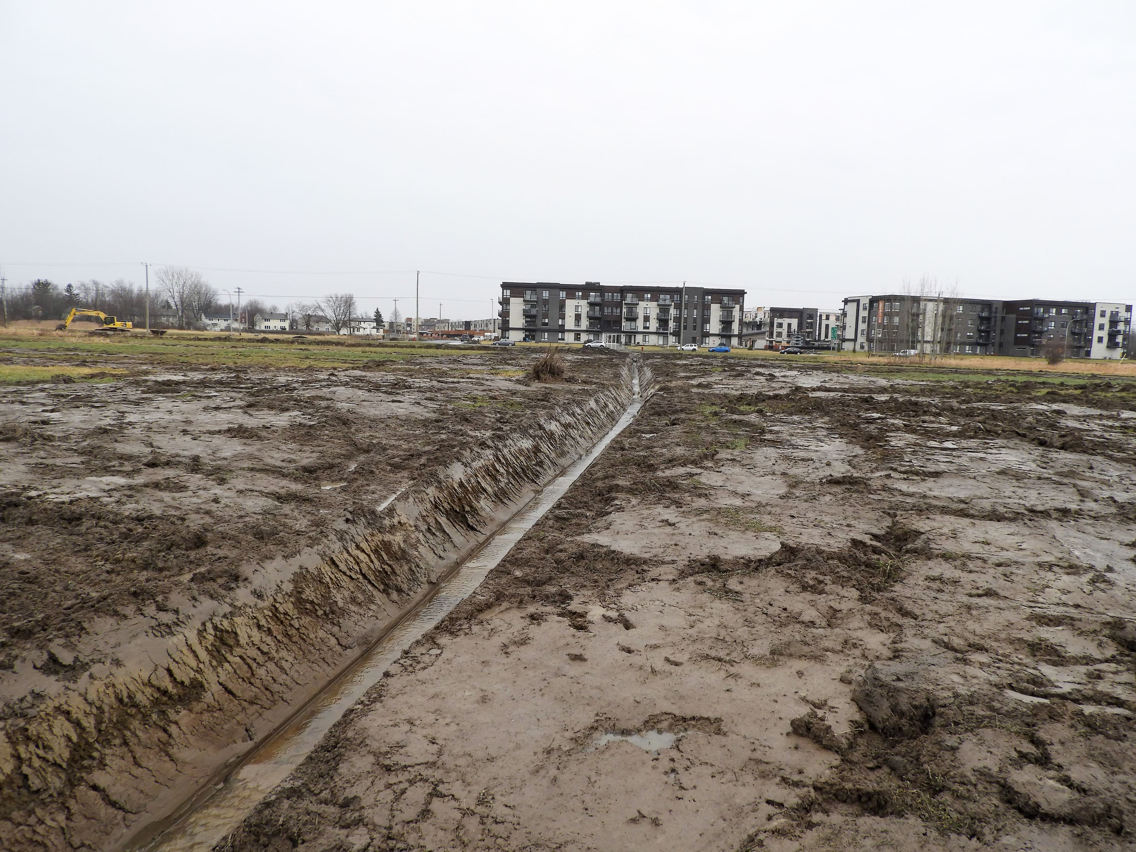 Une compagnie à numéro a reçu une amende de 896 $ après avoir creusé des tranchées d’irrigation sans autorisation à Saint-Hubert, dans l’habitat de la rainette faux-grillon de l’Ouest.