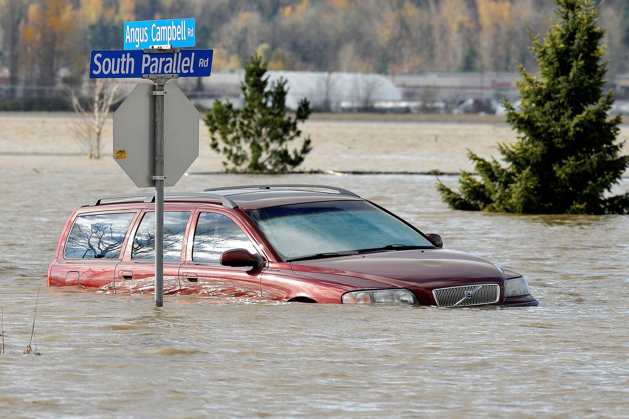 Les routes d’Abbotsford ont complètement été submergées paralysant ainsi de nombreux véhicules.