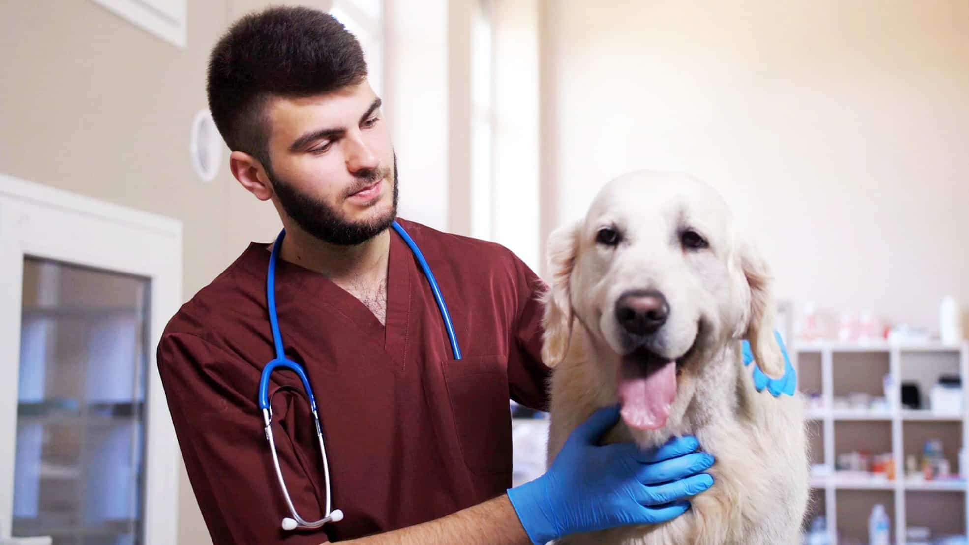 Photo courtoisie, Noovo