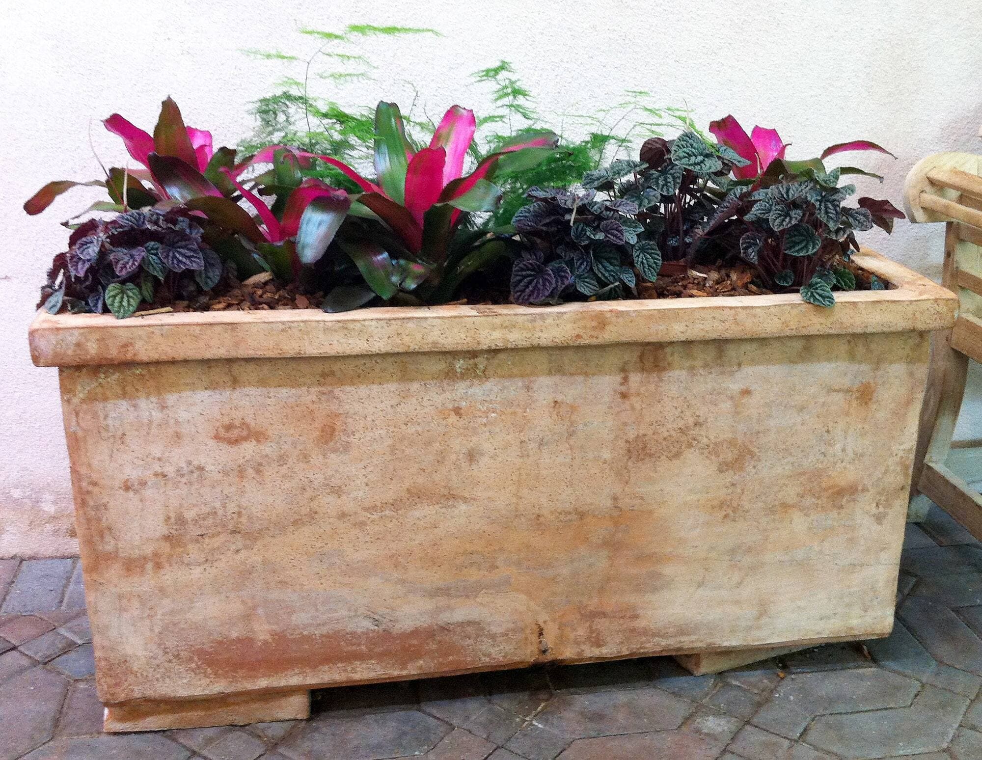 Une plantation en bac d’allure classique composée entre autres de la néorégélia ‘Amazona’.