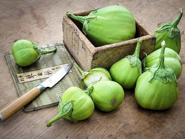 Photo courtoisie, Baker Creek Heirloom seeds