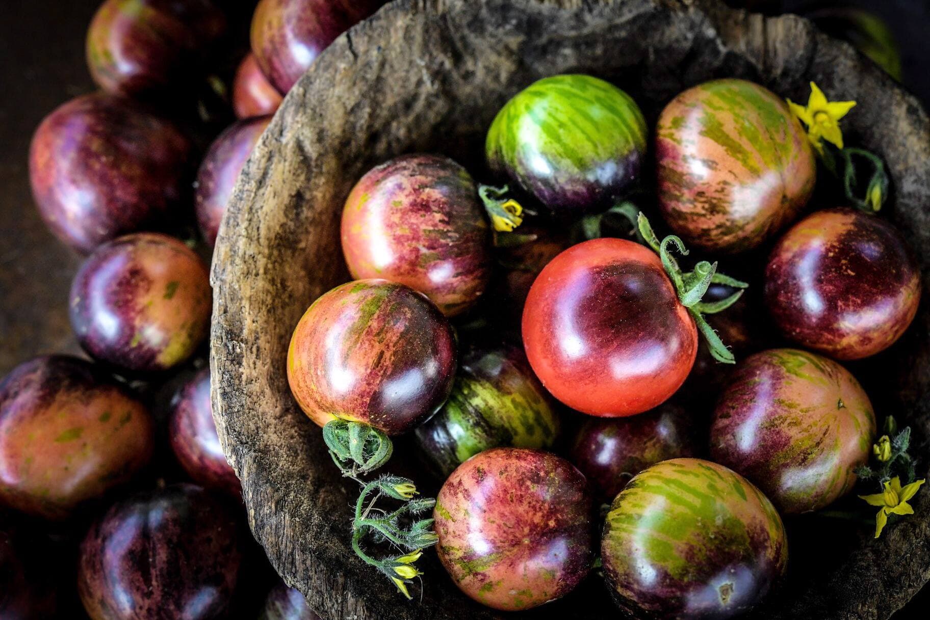 Photo courtoisie, Baker Creek Heirloom