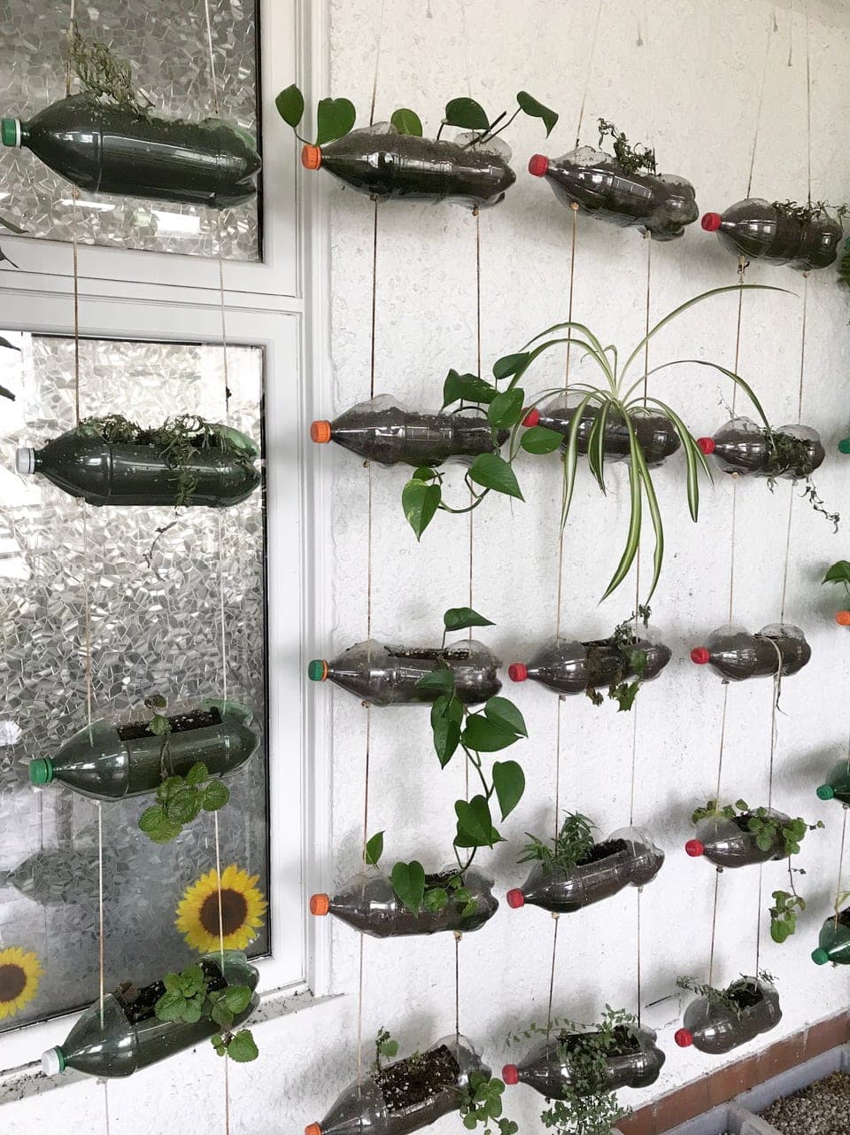 Aline Boisjoly, professeure au Collège Sainte-Anne, a grandement contribué à développer l’amour et le respect des plantes chez ses élèves grâce à des ateliers horticoles et diverses interventions végétalisées fort originales.