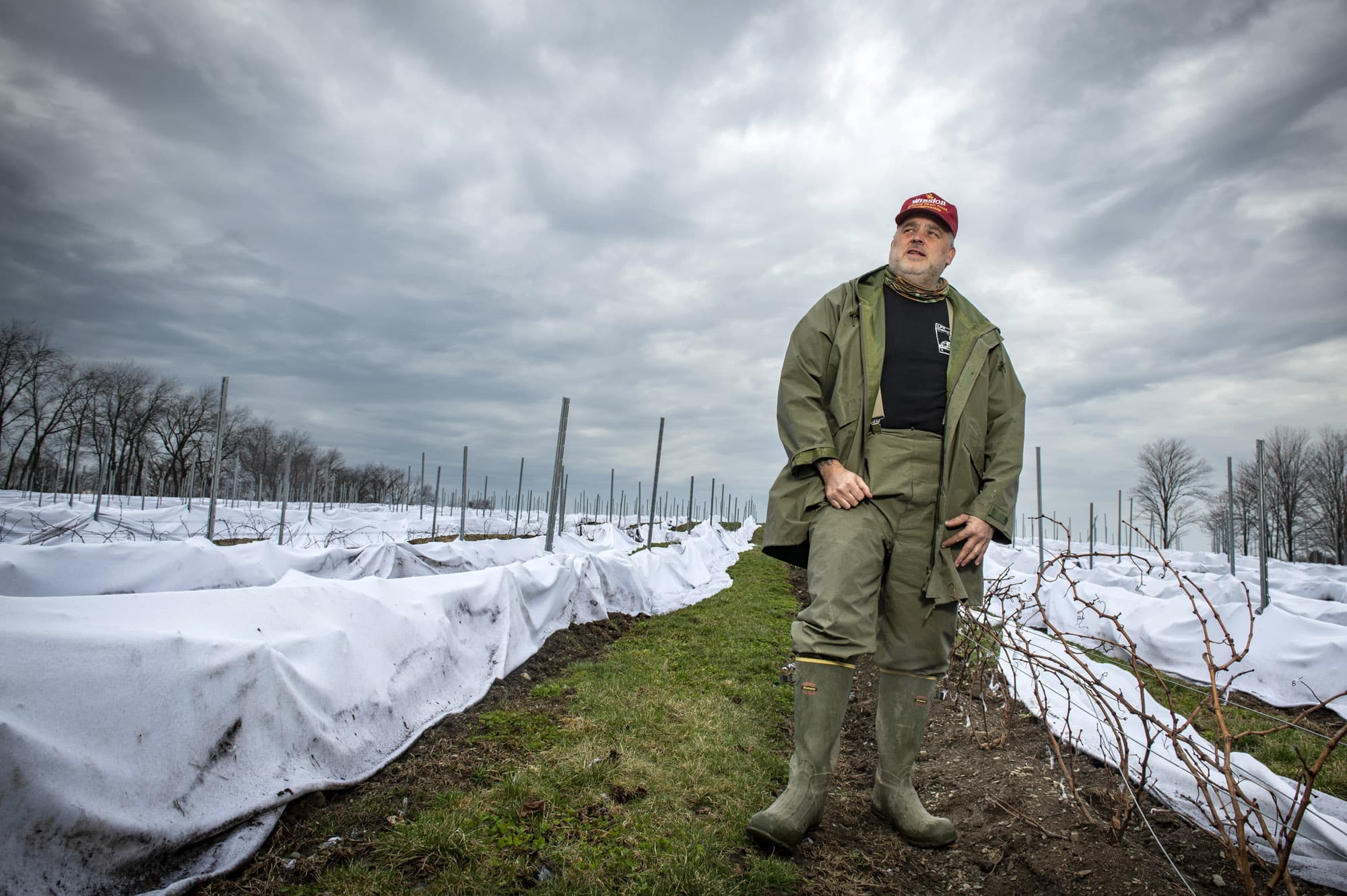 David McMillan a tout quitté pour aller cultiver des légumes et des vignes à Saint-Armand en Estrie.