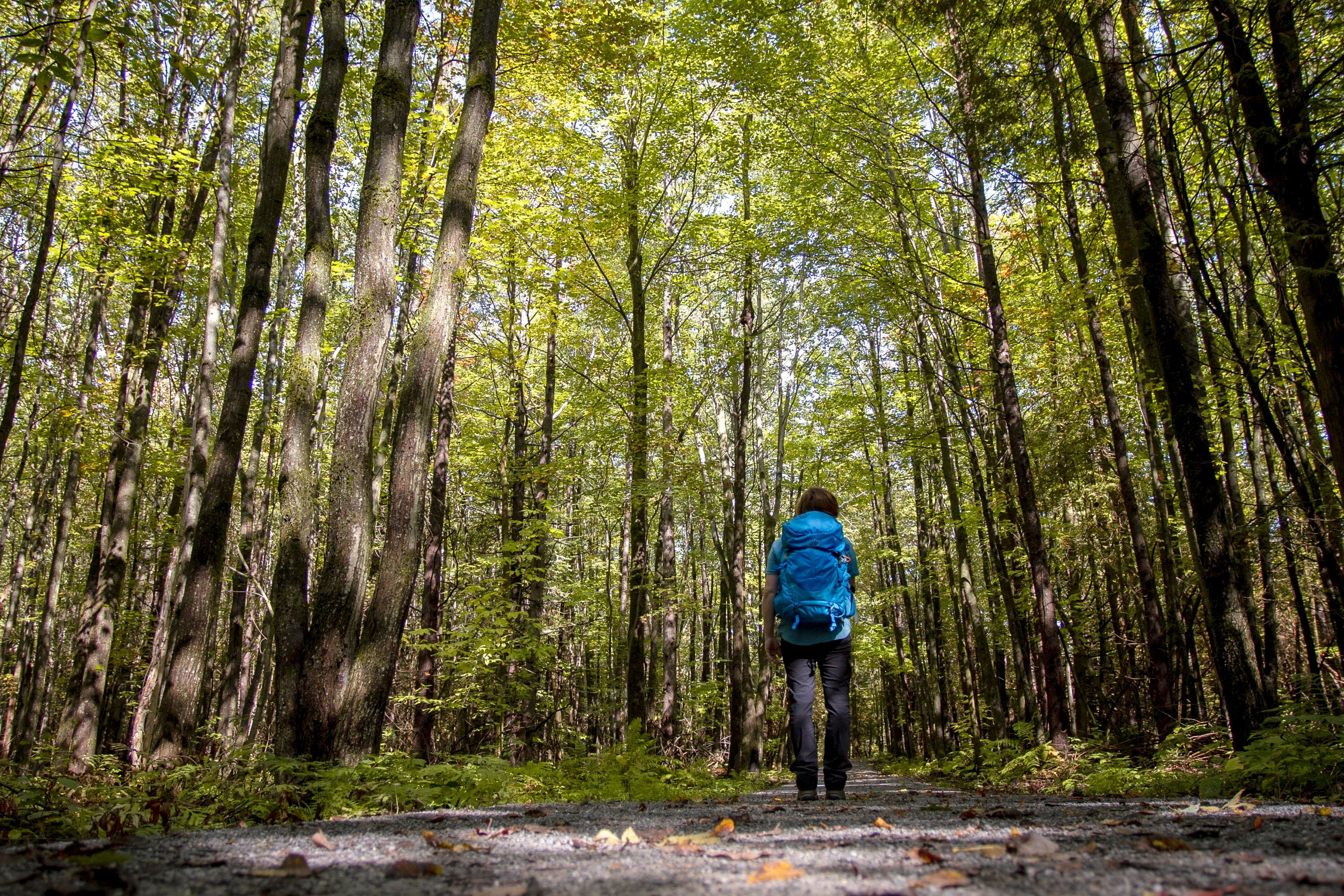 Les sentiers en boucle sont accessibles à la majorité des marcheurs.