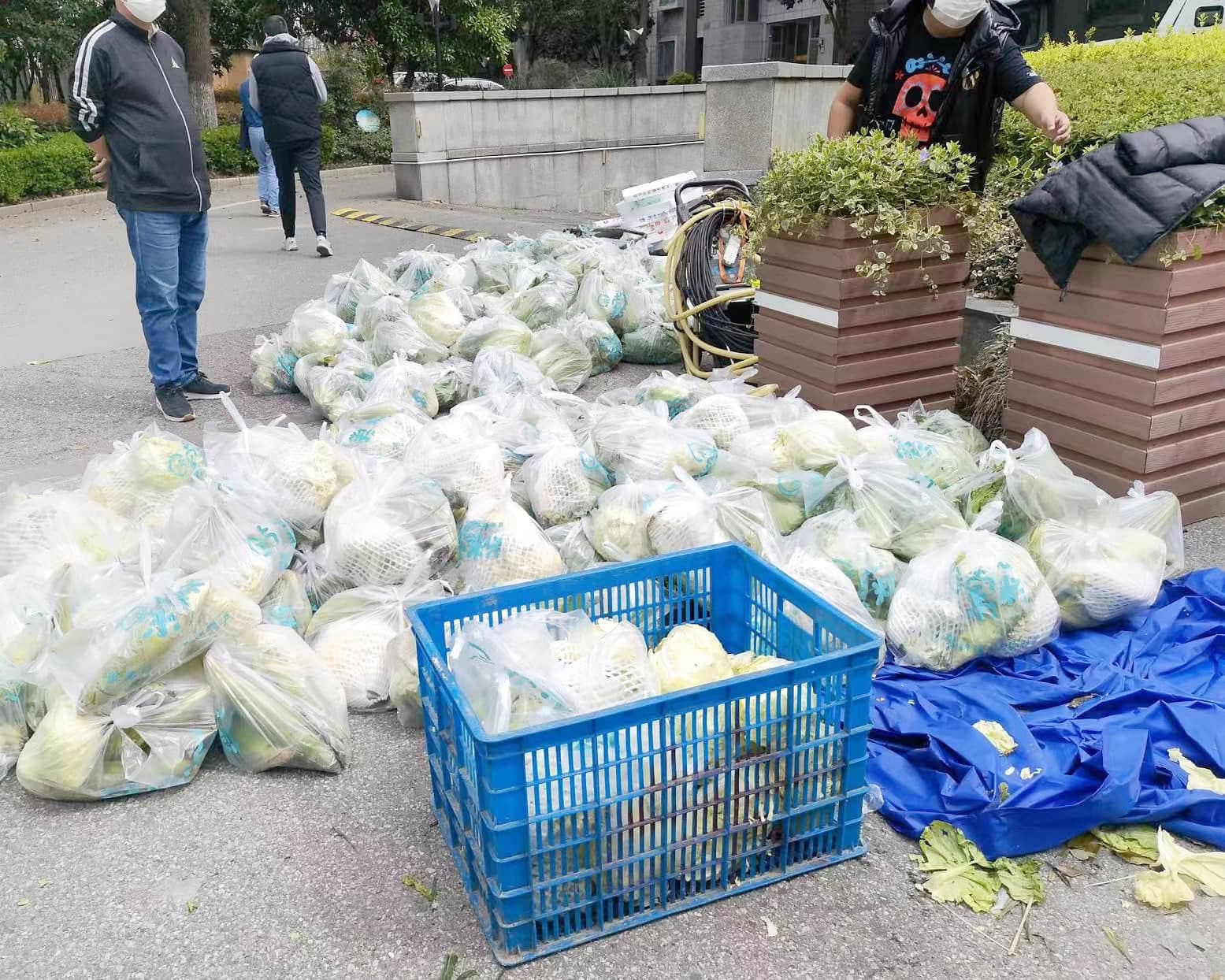 Des légumes livrés par l’État.