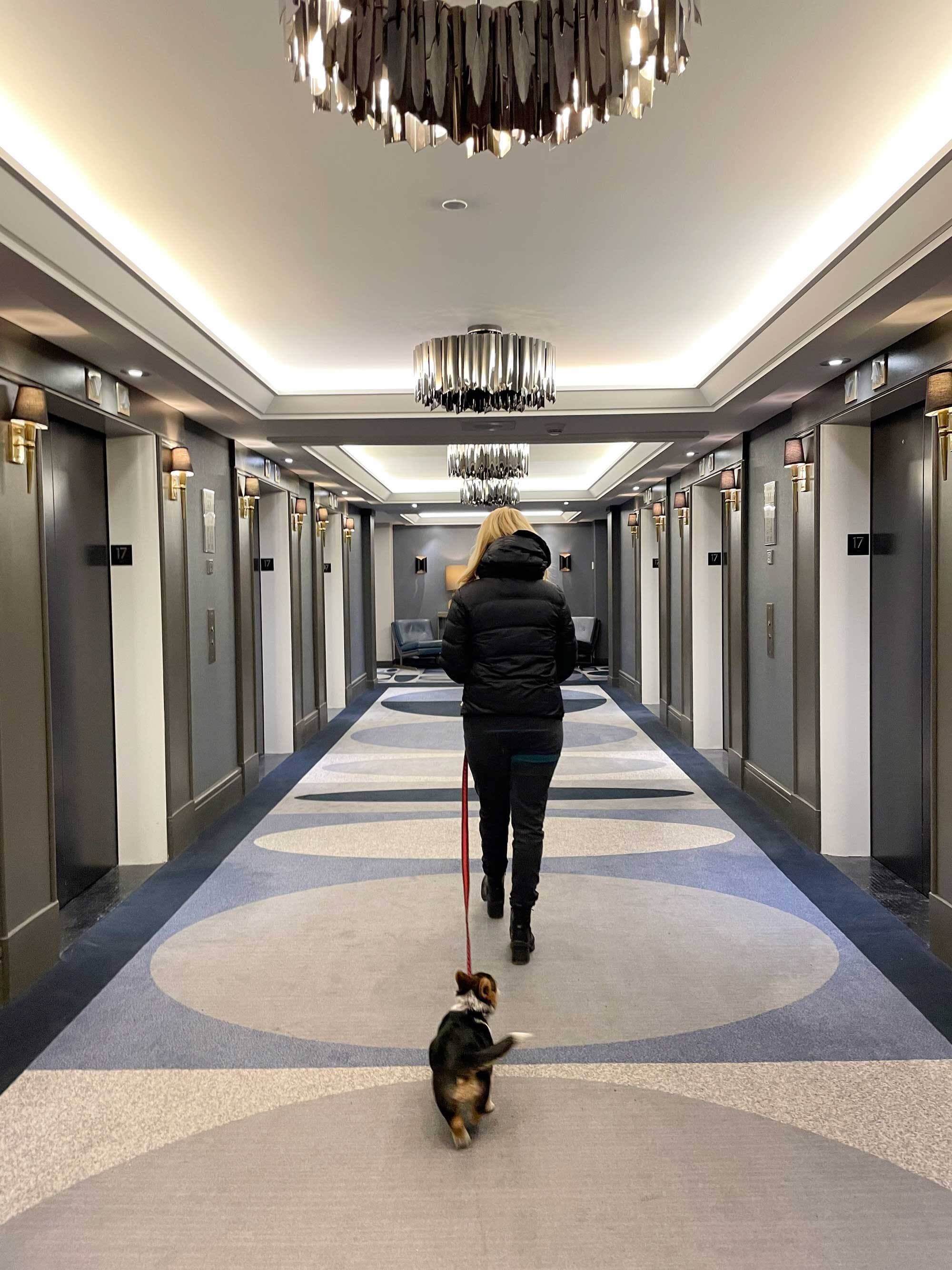 Photo courtoisie, Sarah-Émilie Nault