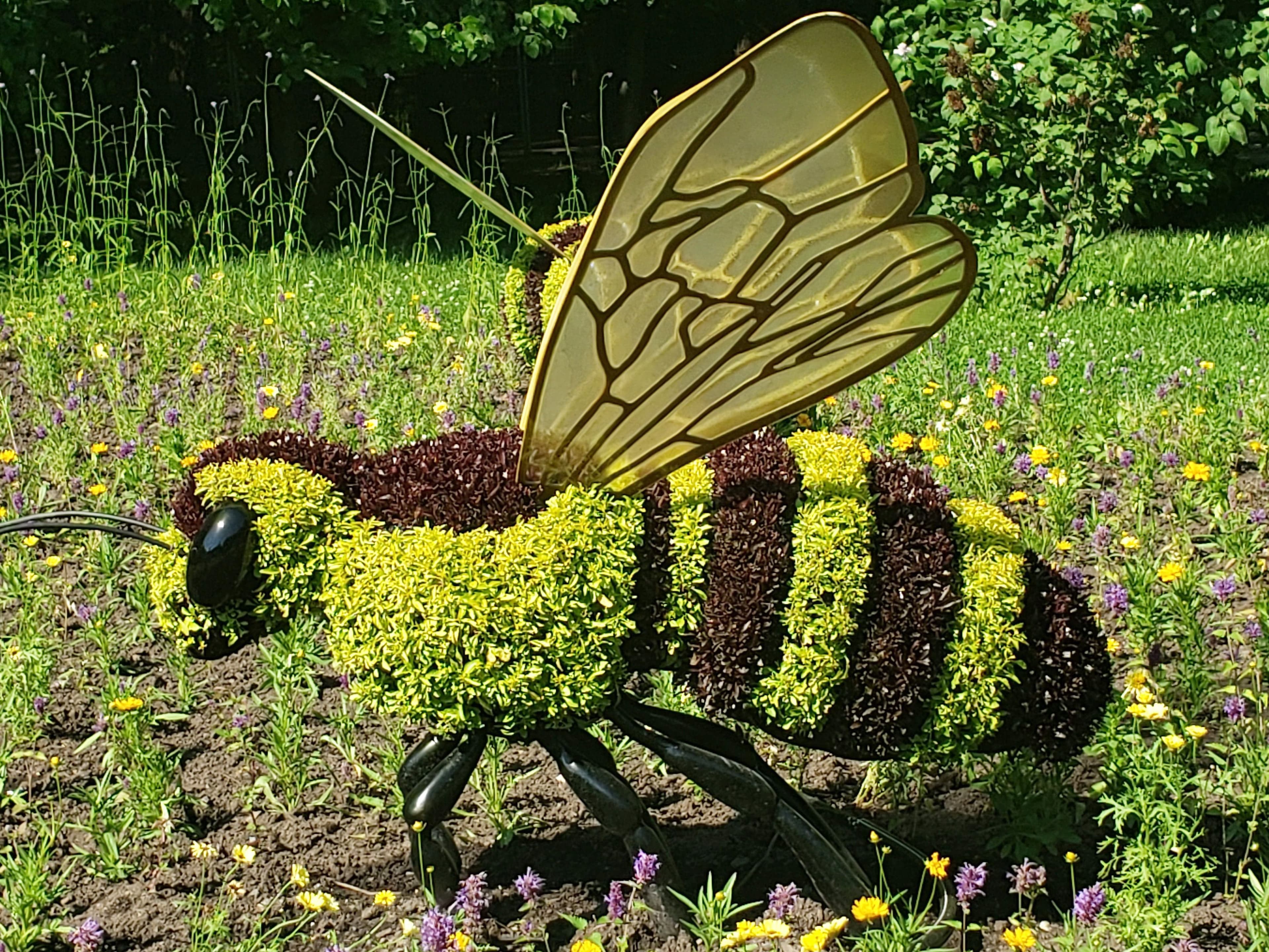 L’exposition met en lumière les espèces dont les populations ont chuté, comme les abeilles.