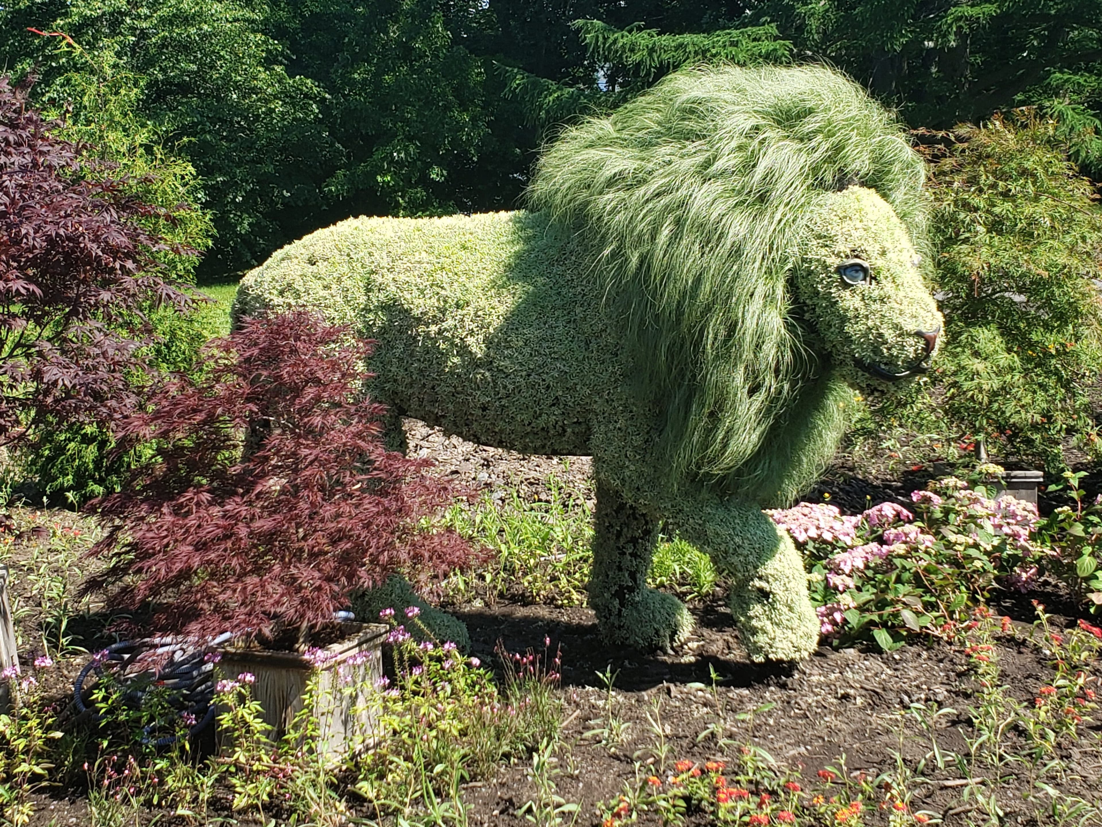 Photo Louis Deschênes