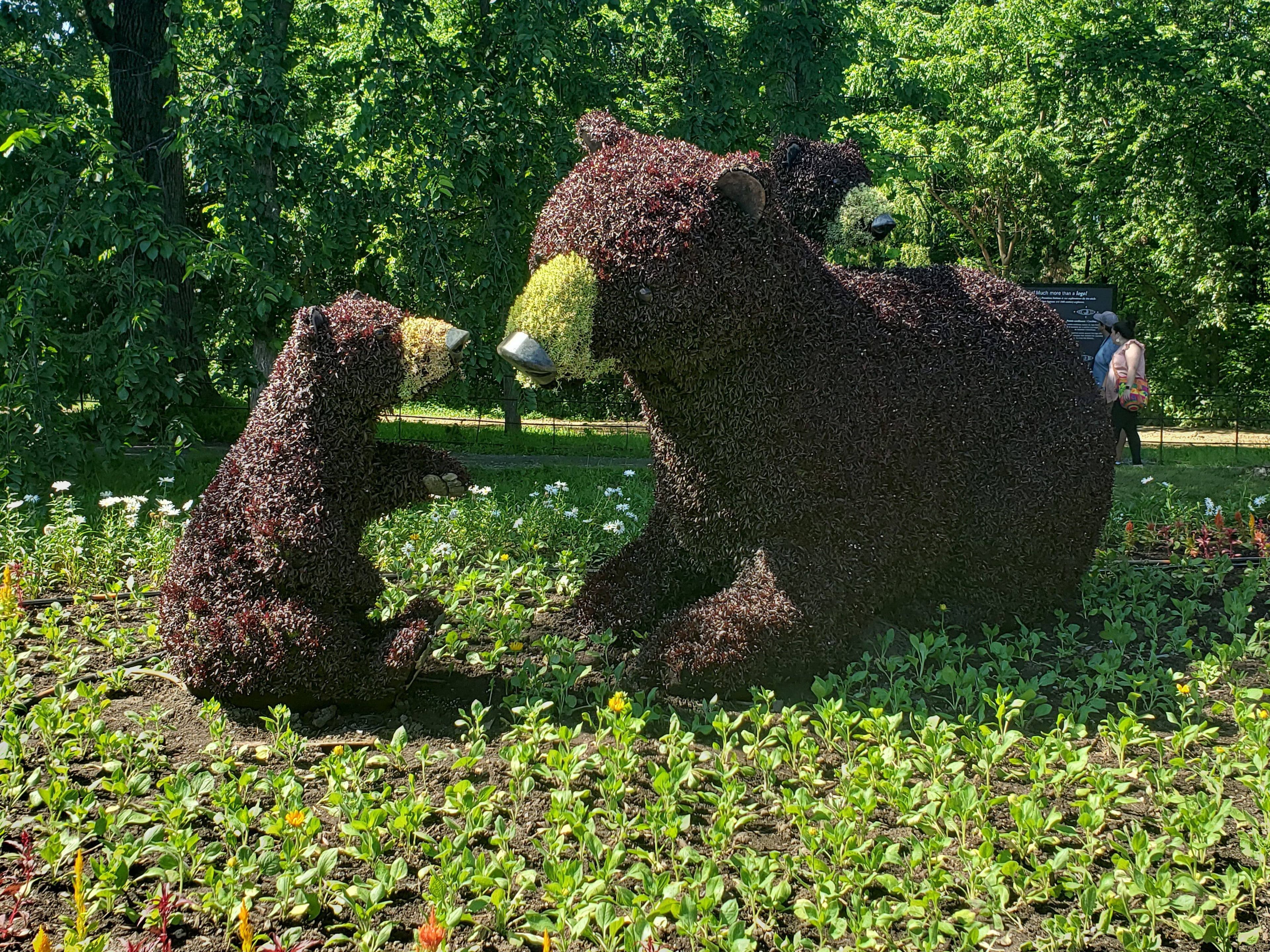 Photo Louis Deschênes