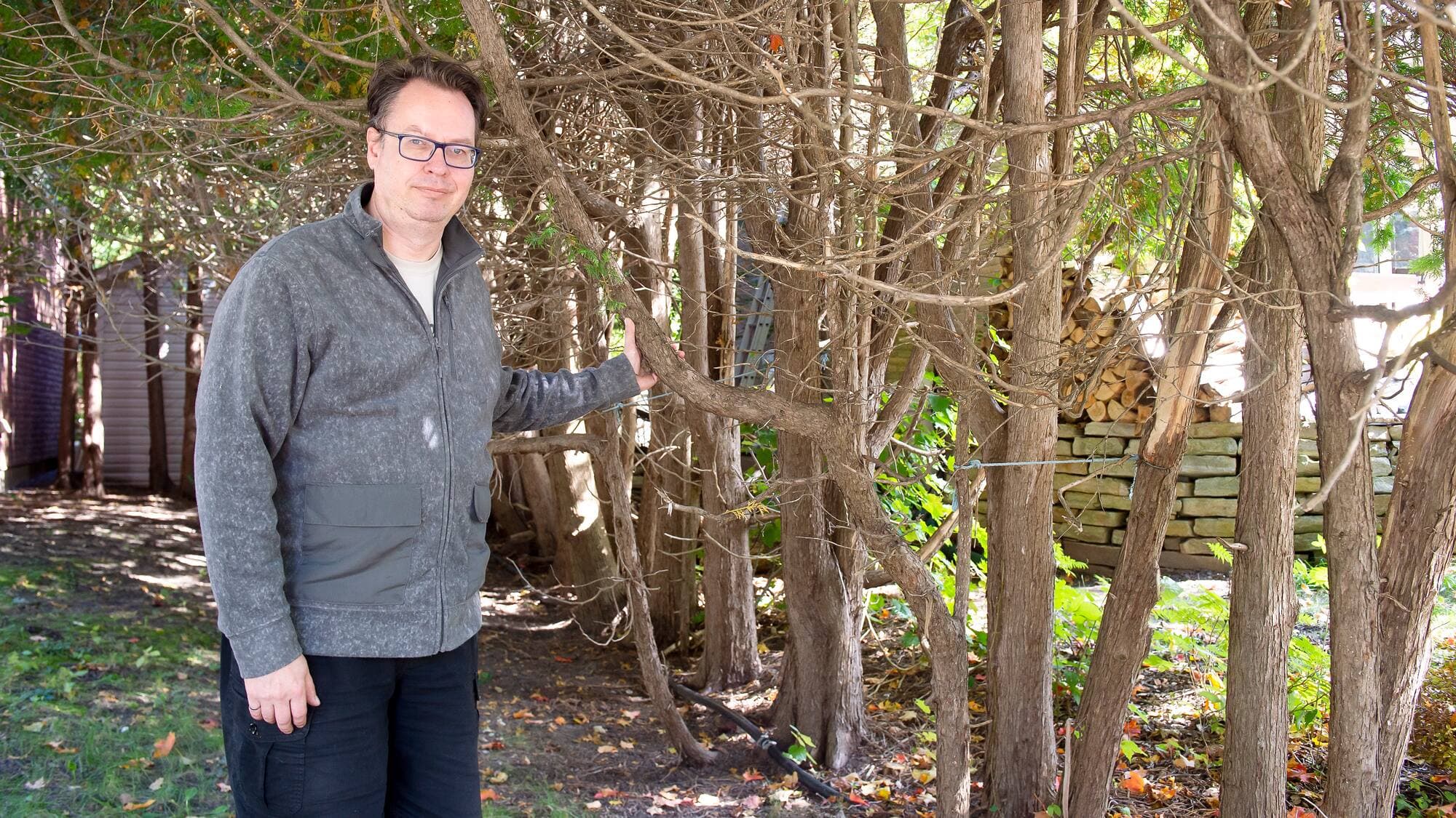 Le jardin d’Adam Mizera, un autre résident de la municipalité, est saccagé par ces bêtes.