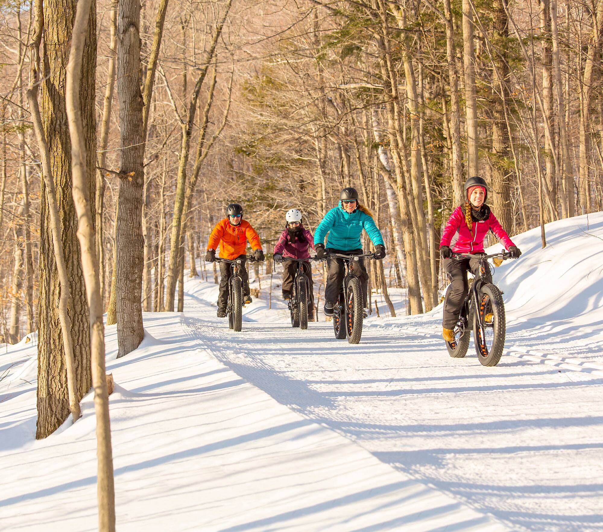 En hiver, les randonnées de Fat Bike sont en vedette dans plusieurs parcs nationaux.
