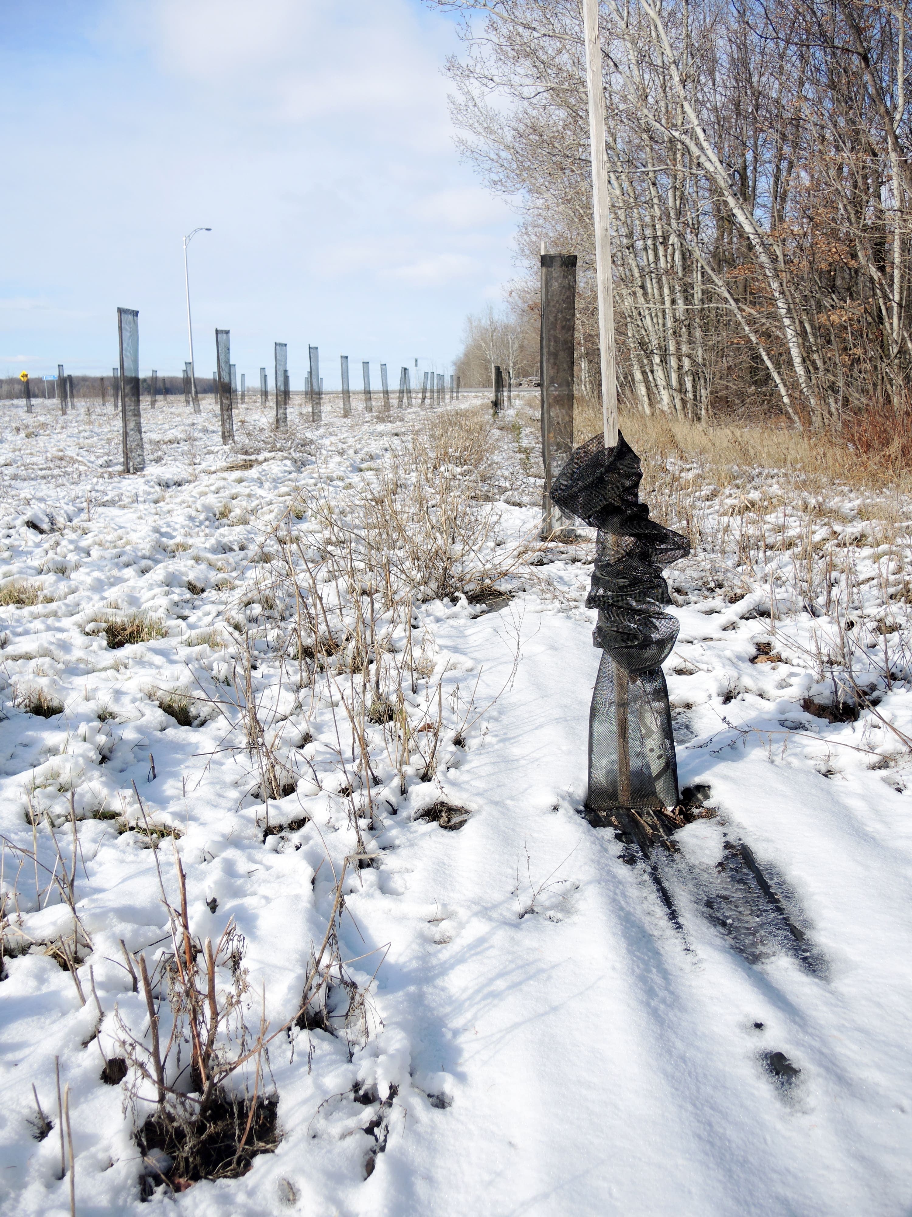 Photo Dominique Cambron-Goulet