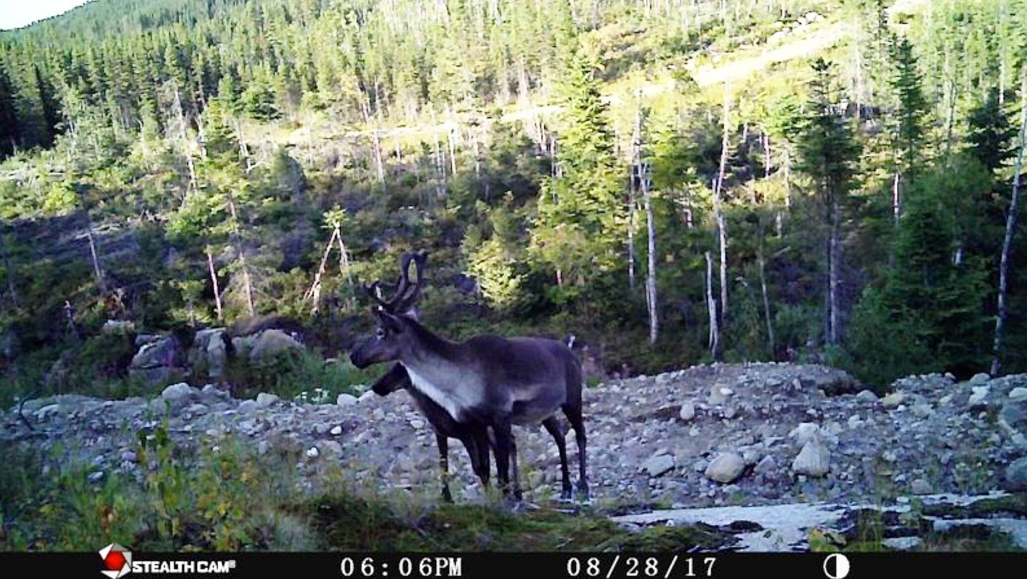Photo courtoisie, Conseil de la Première Nation des Innus Essipit