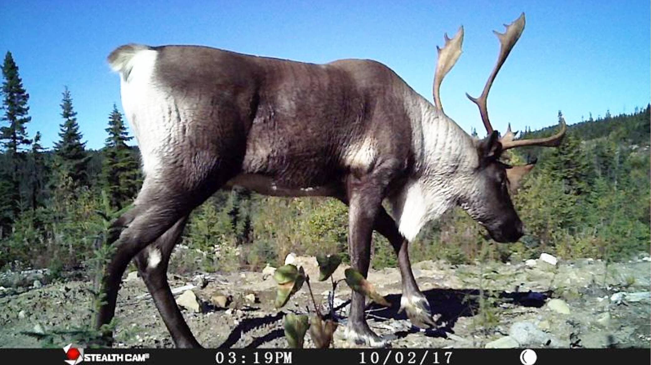 Photo courtoisie, Conseil de la Première Nation des Innus Essipit