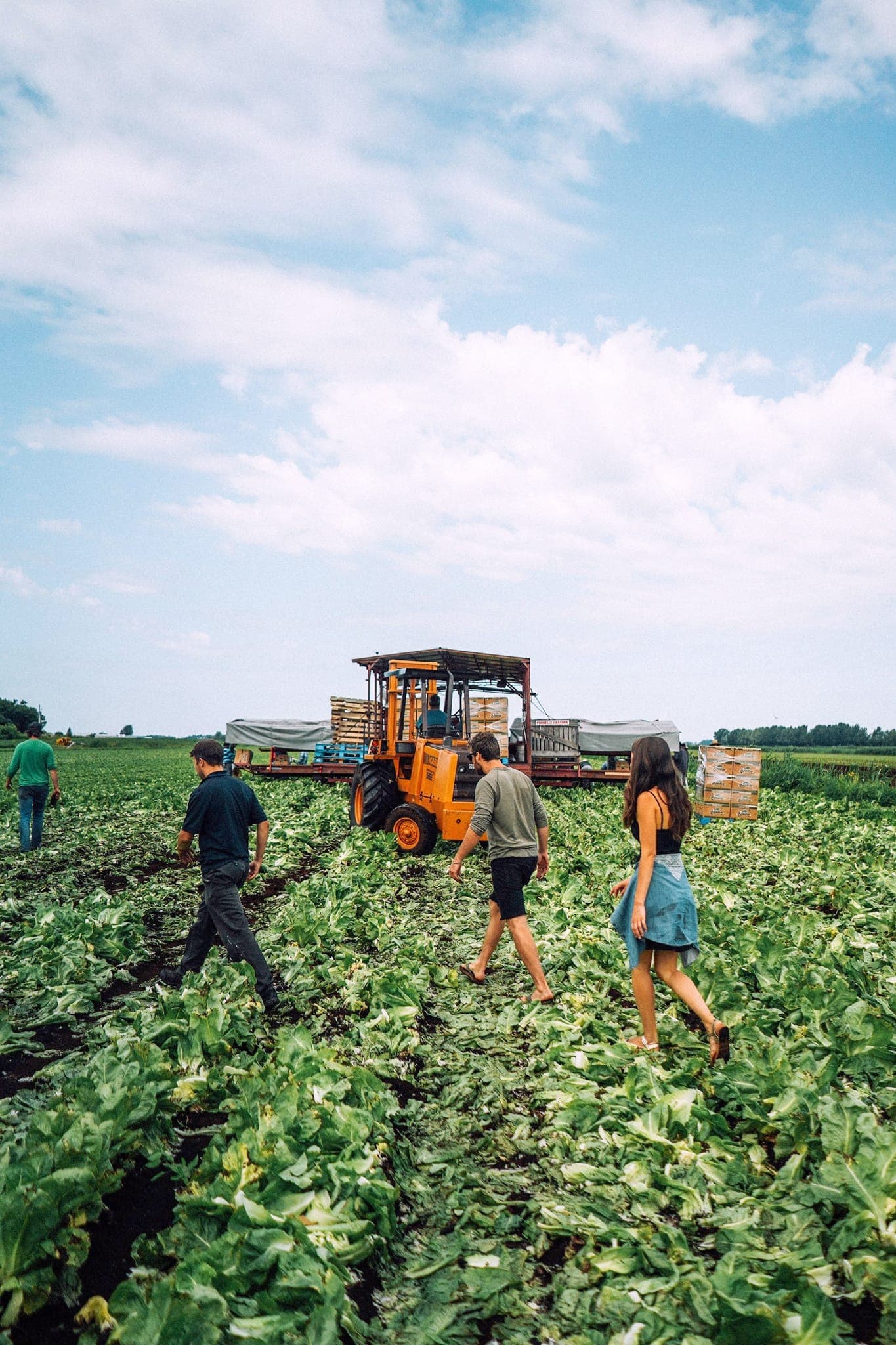 Courchesne Larose compte de nombreuses filiales, dont Loop, qui produit notamment du gin, Les Aliments Bercy, spécialisés dans l’emballage, et Krops, qui importe des agrumes du Maroc.