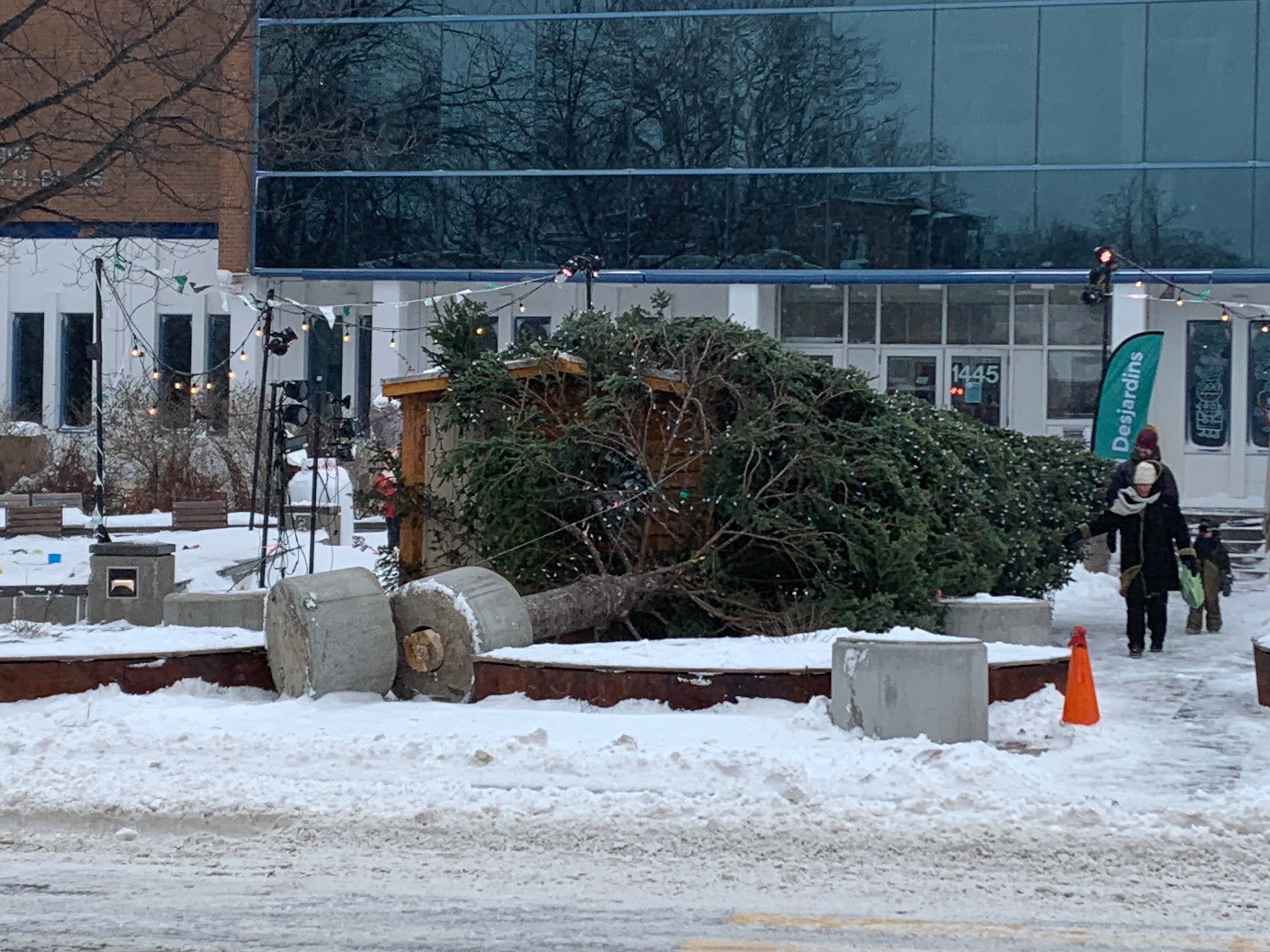 Photo Marianne White