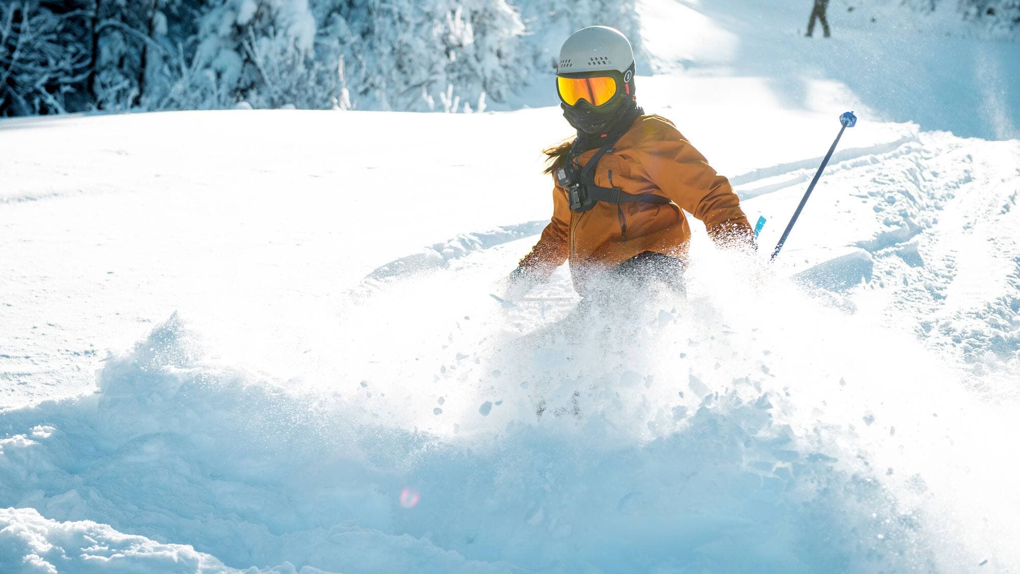 Photo fournie par Le Valinouët