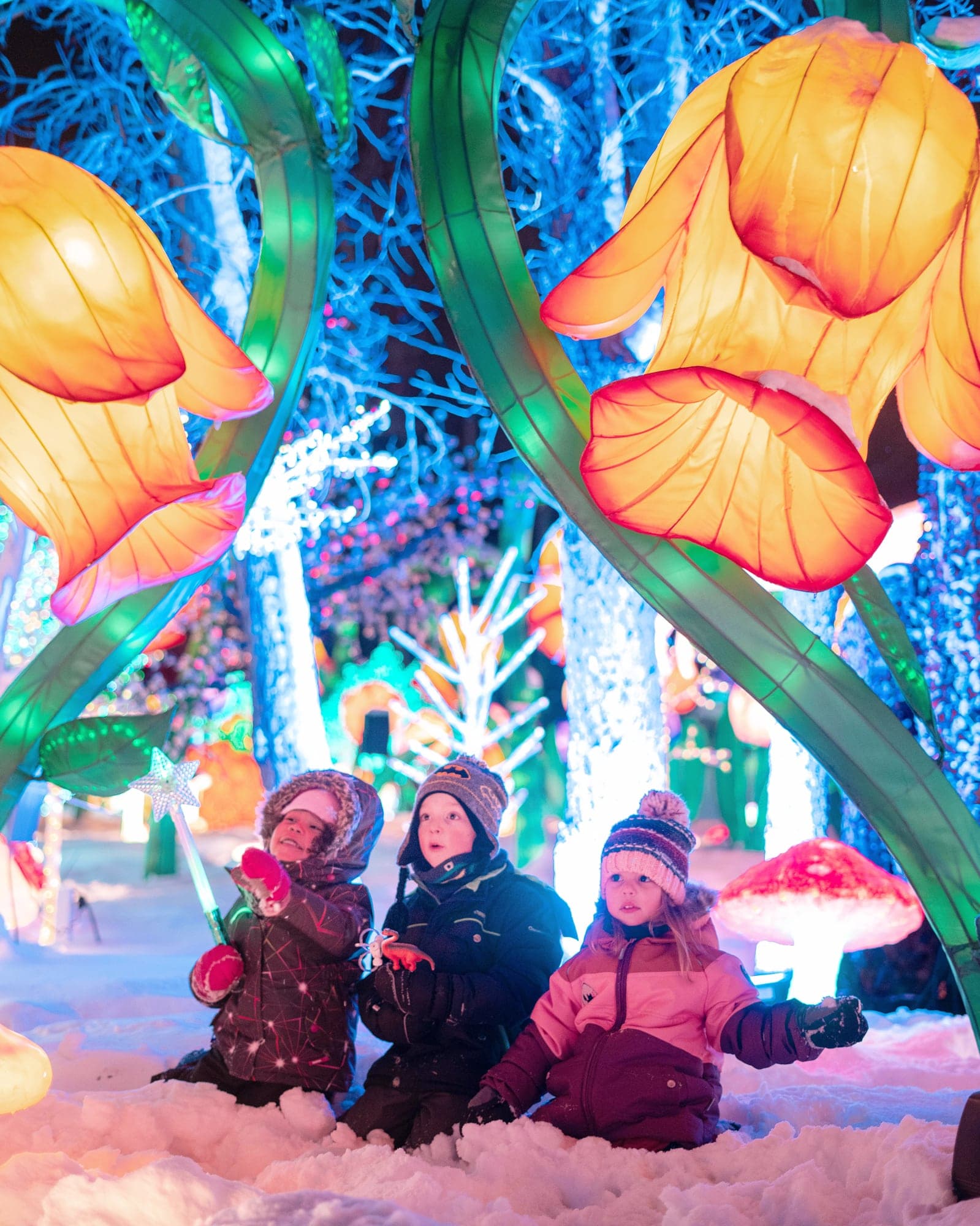 Photo fournie par Illumi