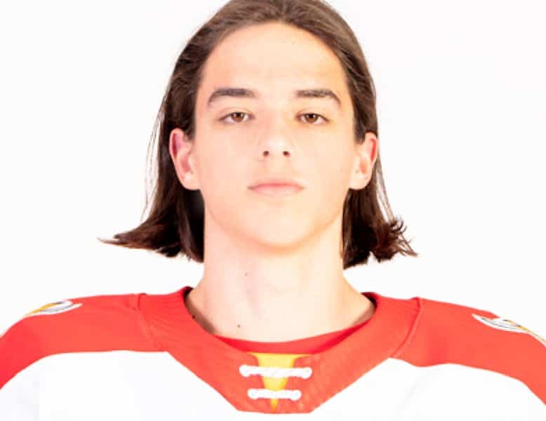 Photo tirée du site LHJMQ.QC.CA