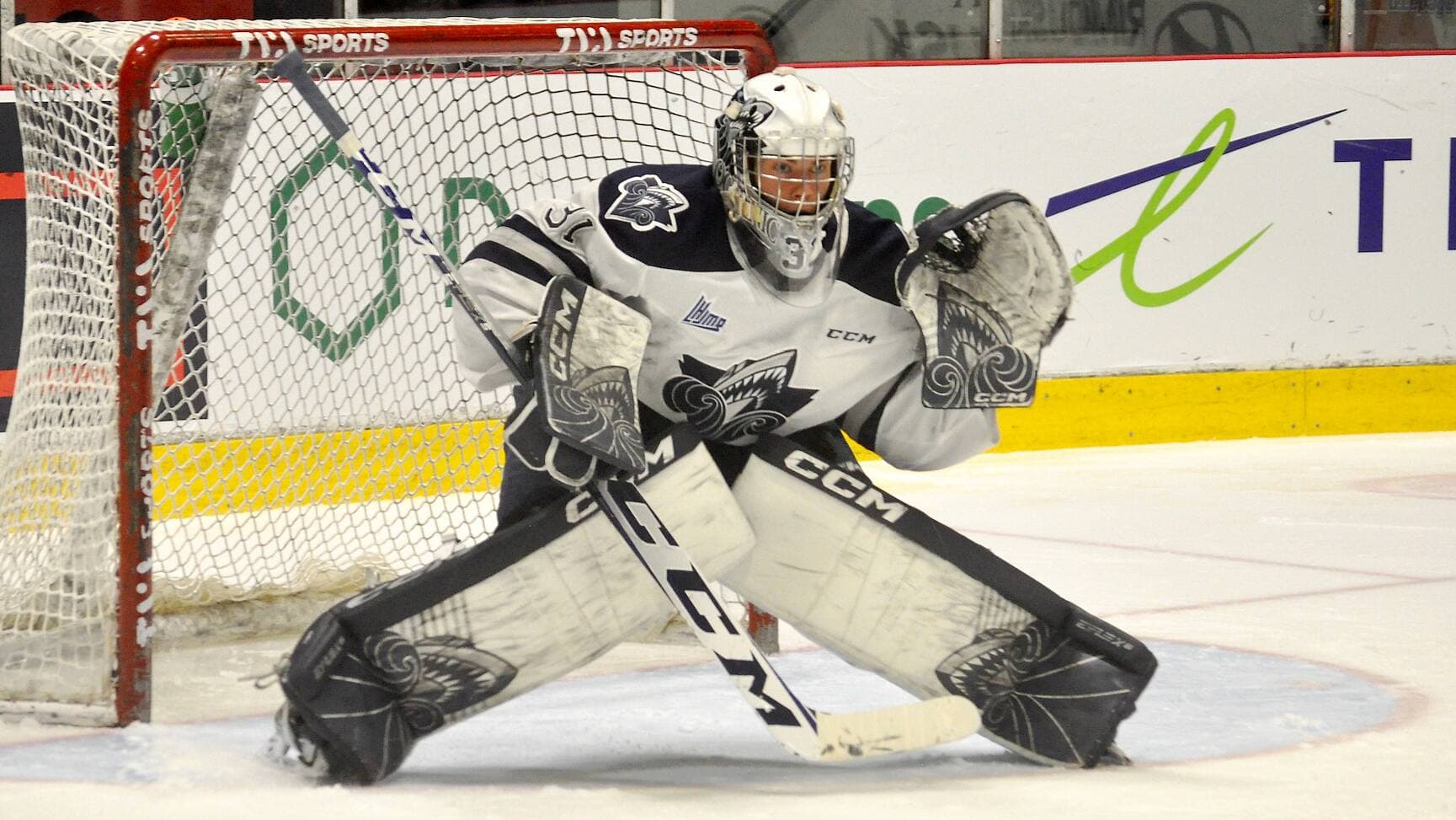 Photo d'archives, Alexandre D'Astous