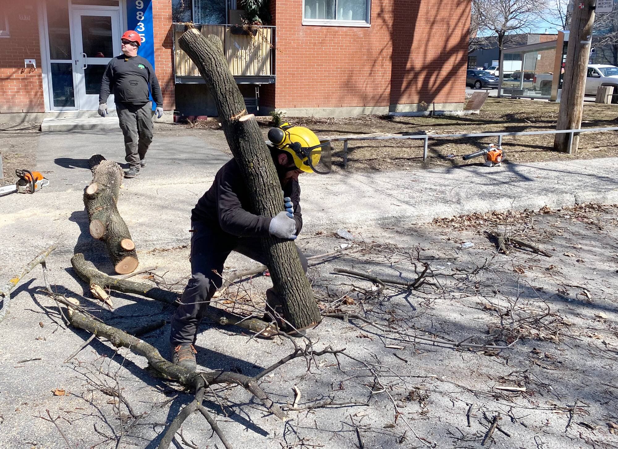 Photo Martin Jolicoeur