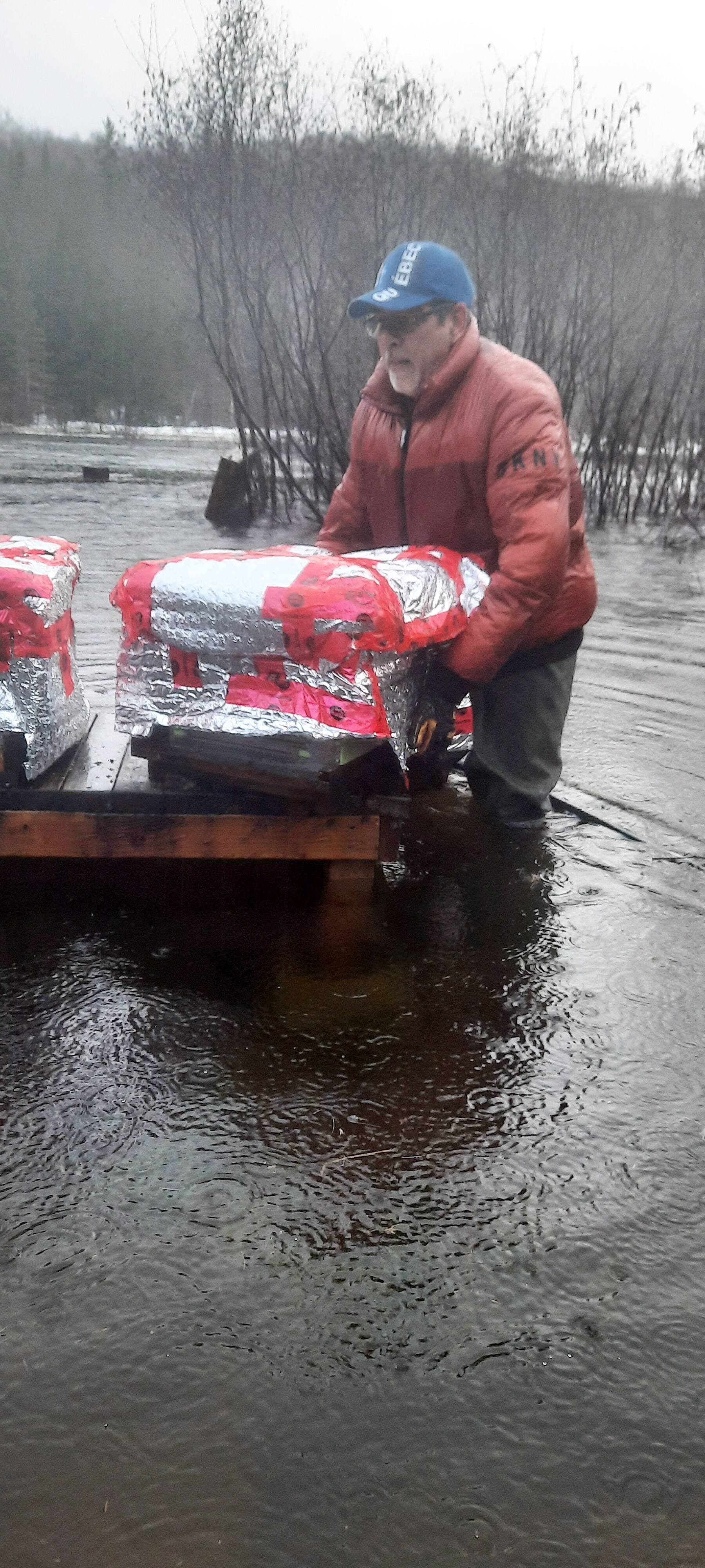 Le conjoint de Caroline Sneep, Allan Wingfield, a vite bougé les cinq ruches pour les sauver de la montée de eaux.
