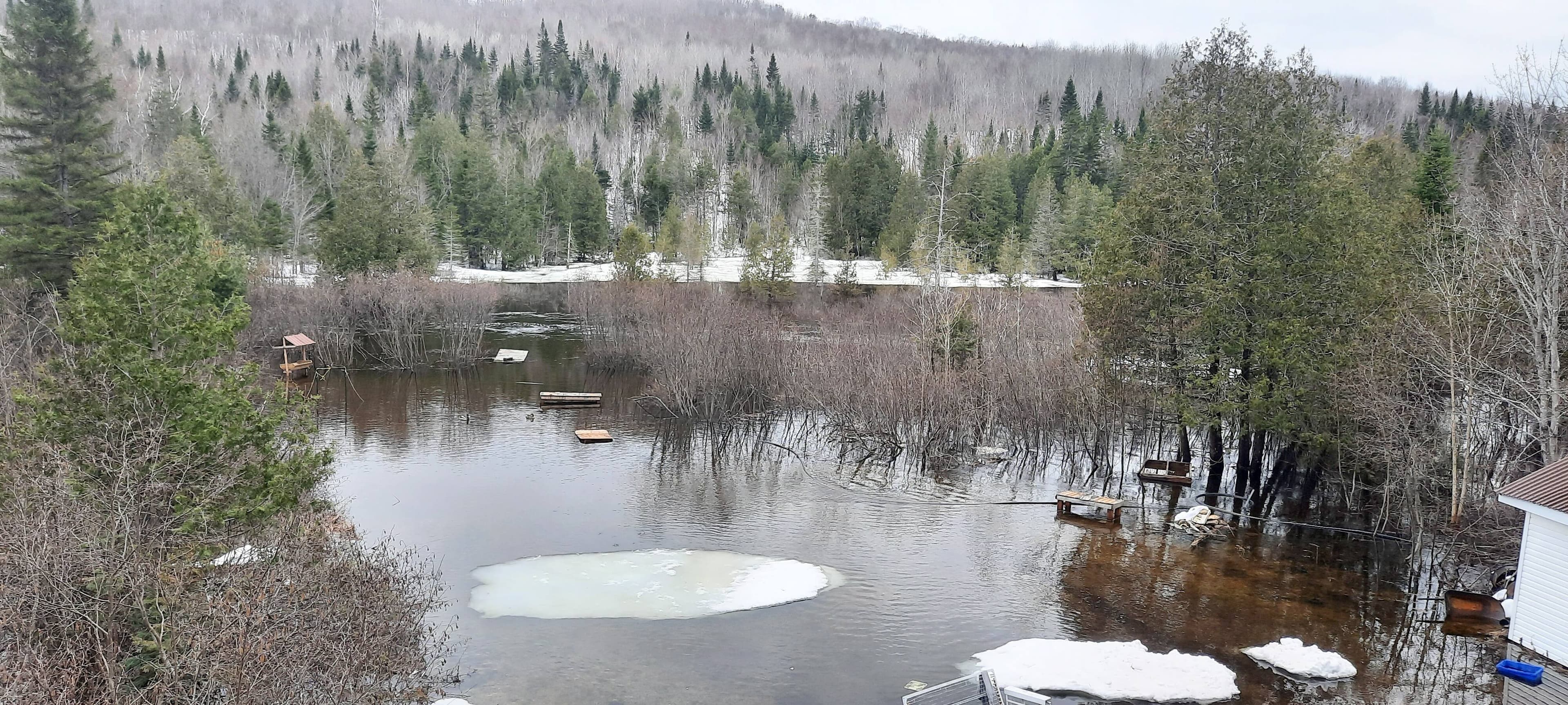 Le terrain de Mme Sneep, où étaient cinq de ses ruches, est complètement sous l'eau.