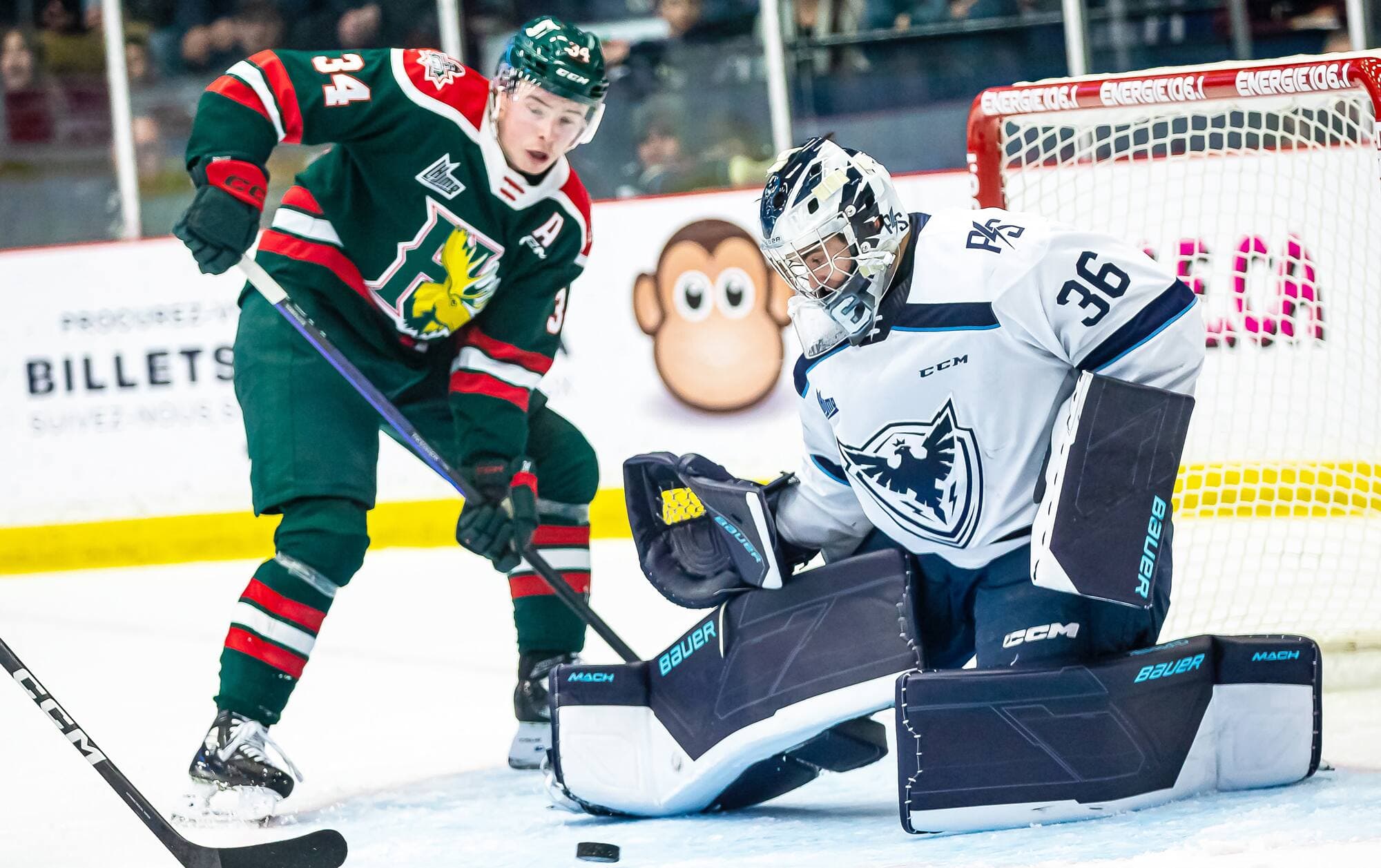 Le gardien Olivier Adam effectuant un arrêt devant Alexandre Doucet, le 25 février, à Sherbrooke.