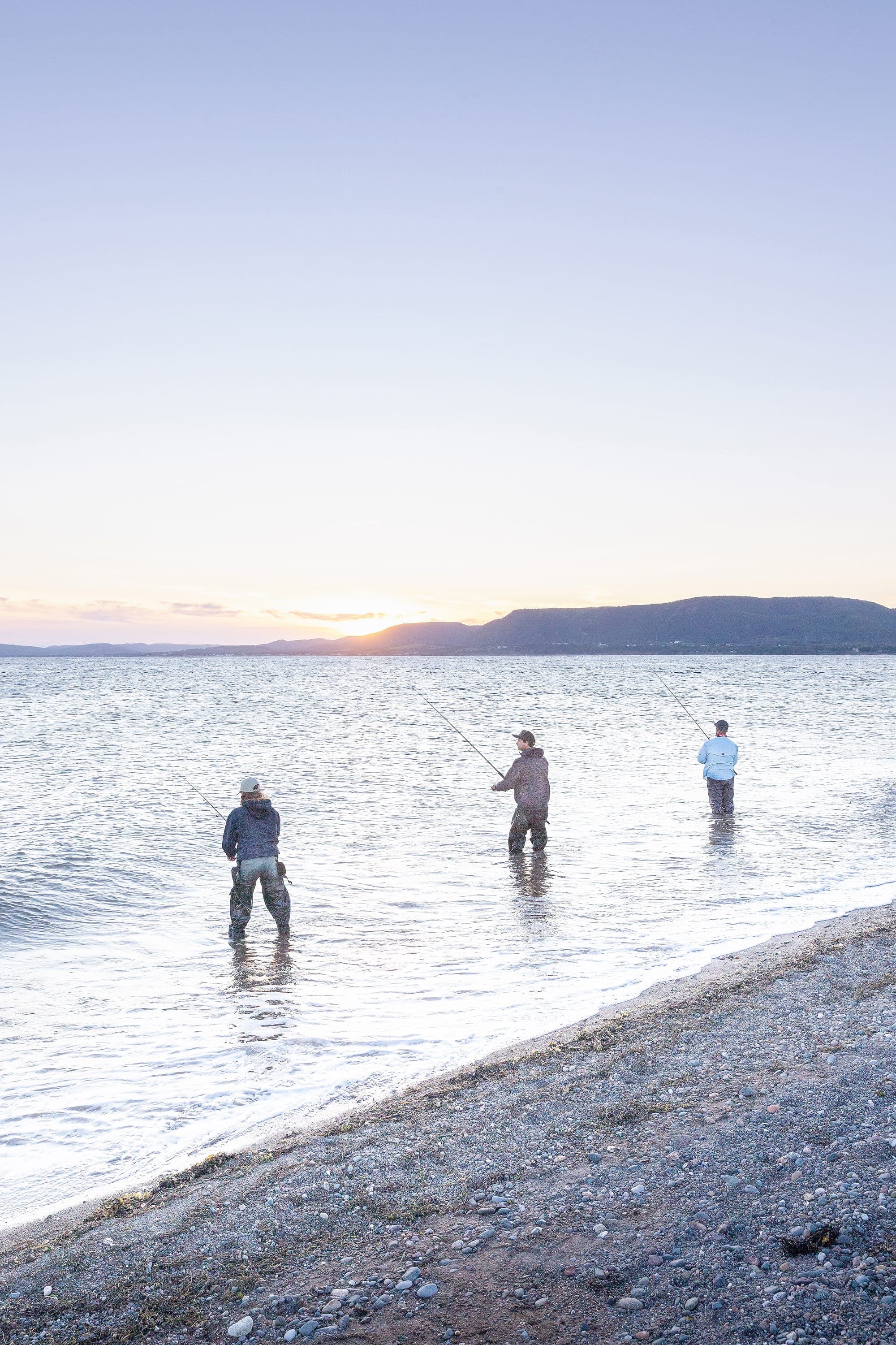 La pêche au bar rayé peut se faire à partir des battures dans certains secteurs bien identifiés.