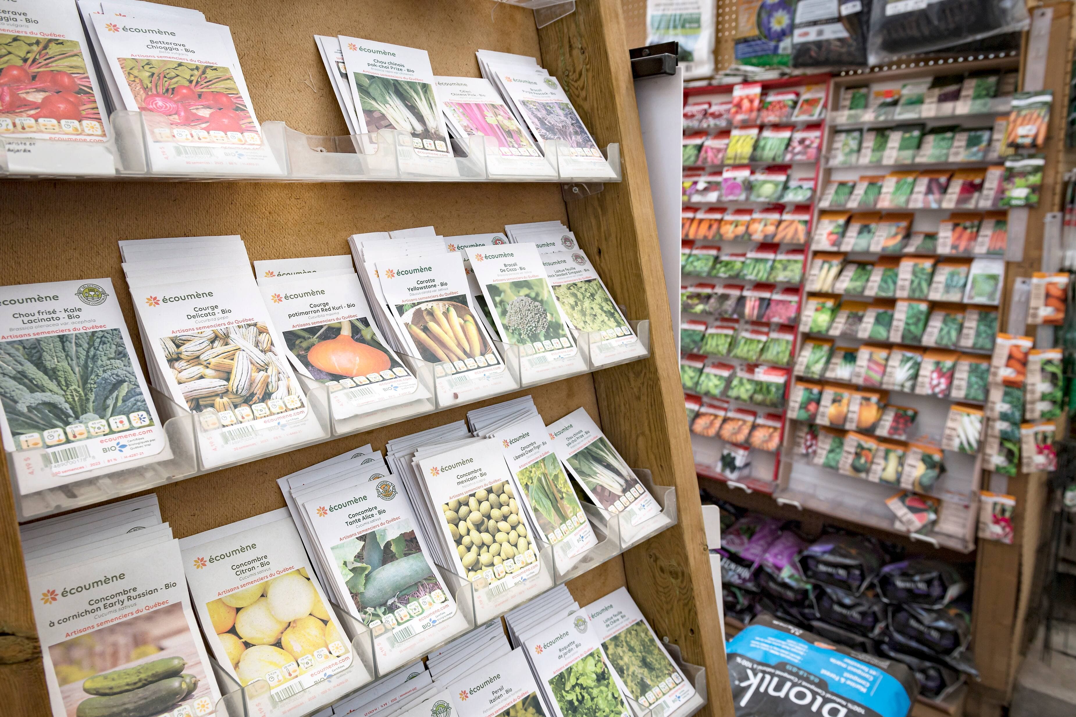 Joël Lemay / Agence QMI