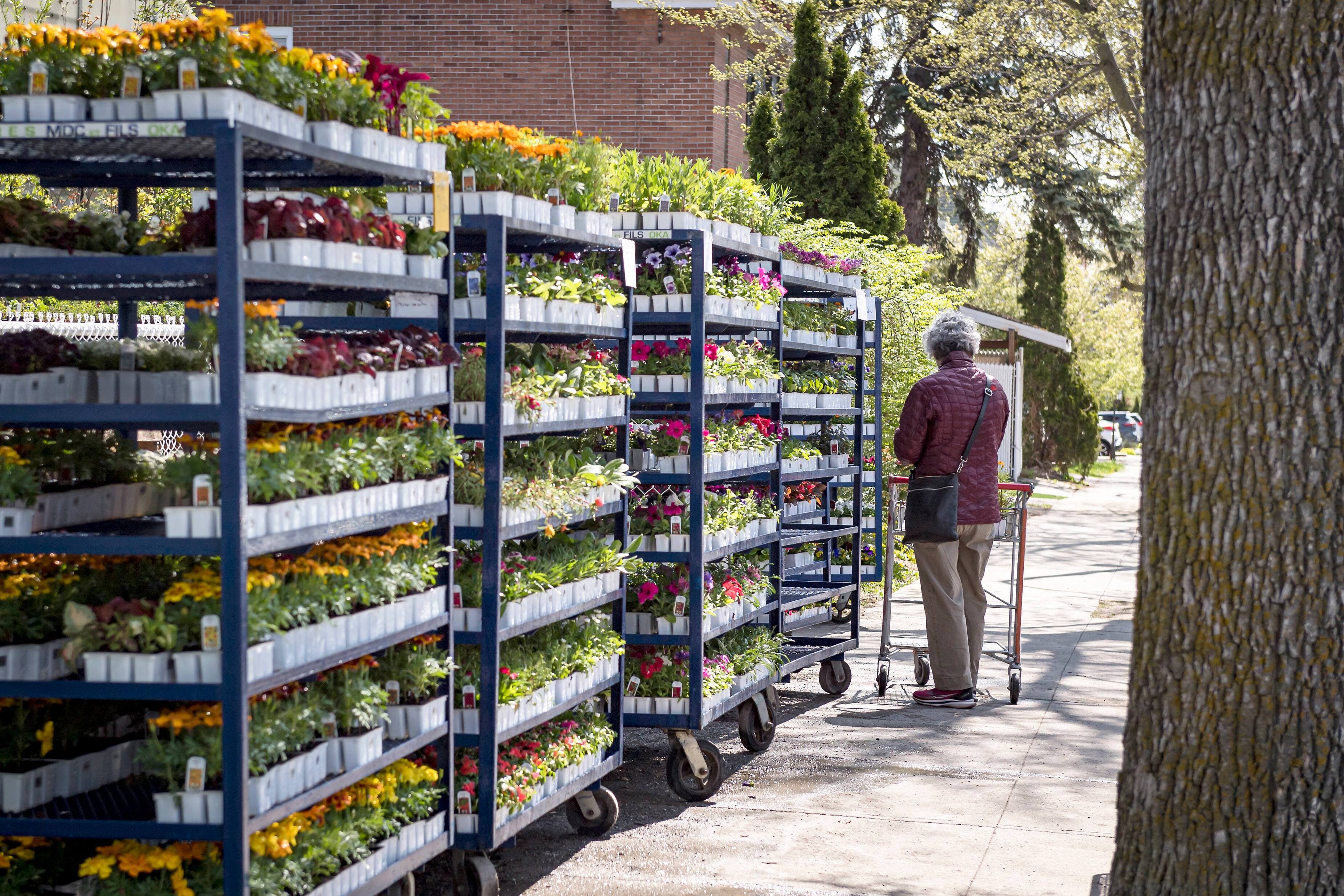 Portrait de Pierre Potvin, propriétaire du centre de jardinage Frank Fleuriste.