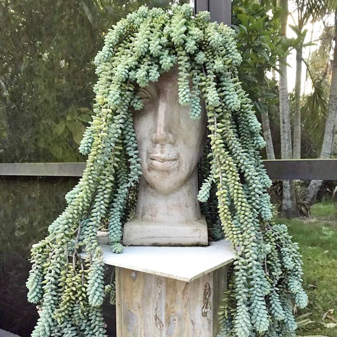 Photo fournie par Mountain Crest Gardens