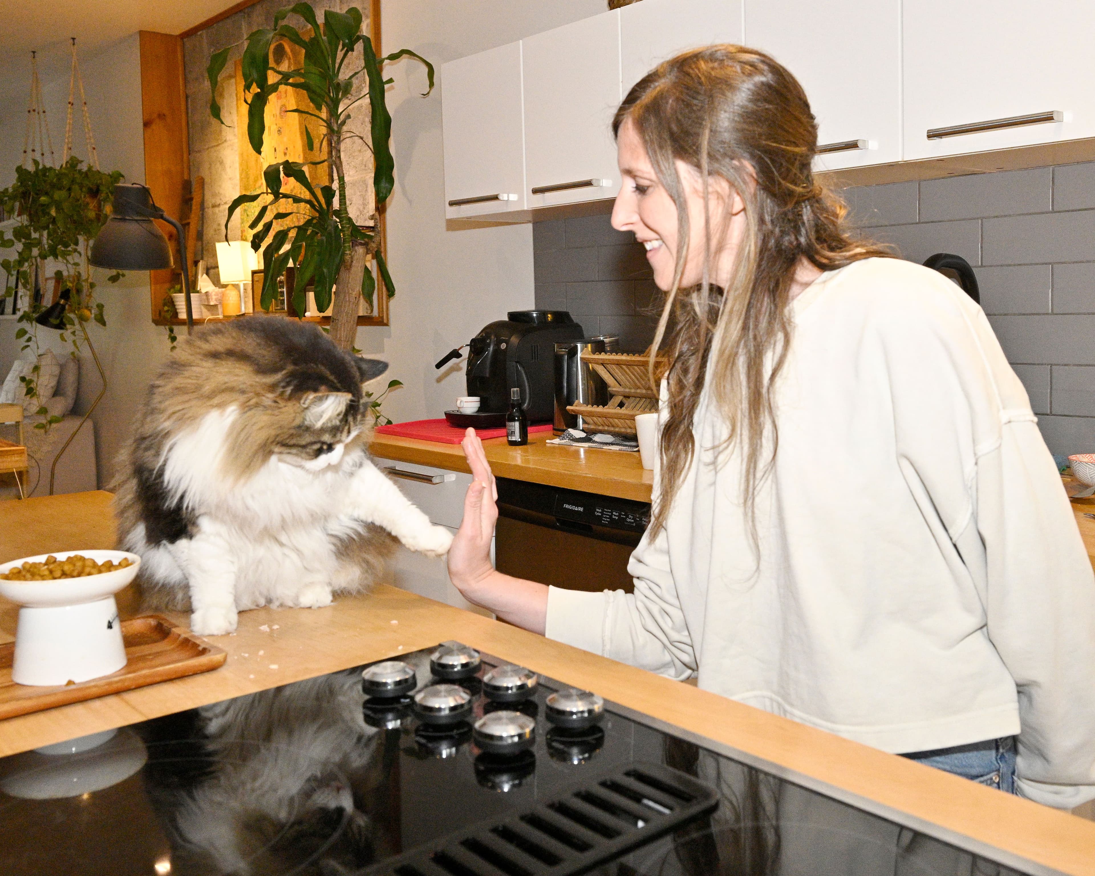 MARTIN ALARIE / JOURNAL DE MONTREAL