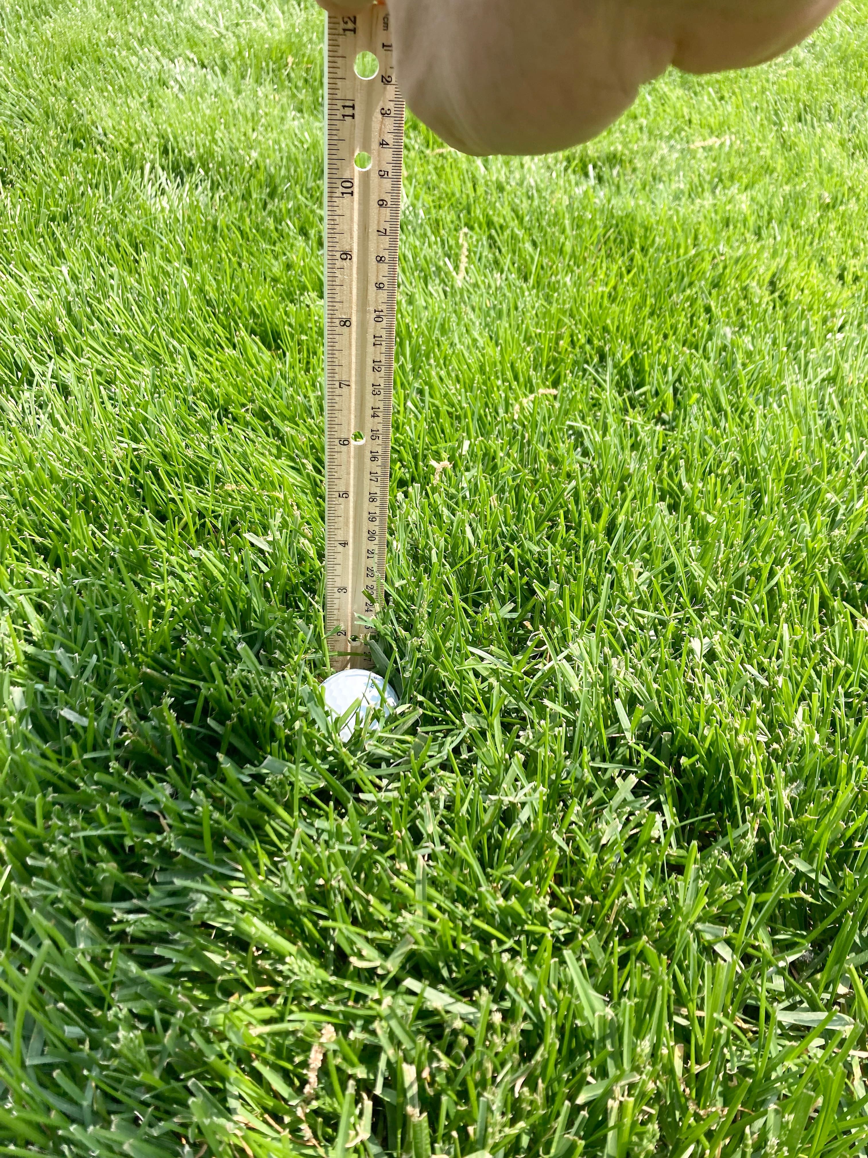 Derrière le neuvième fanion au club de golf Oak Hill à l’occasion du Championnat de la PGA, on ne voit que la calotte de la balle enfouie dans l’herbe longue mesurant environ quatre pouces en bordure du vert.