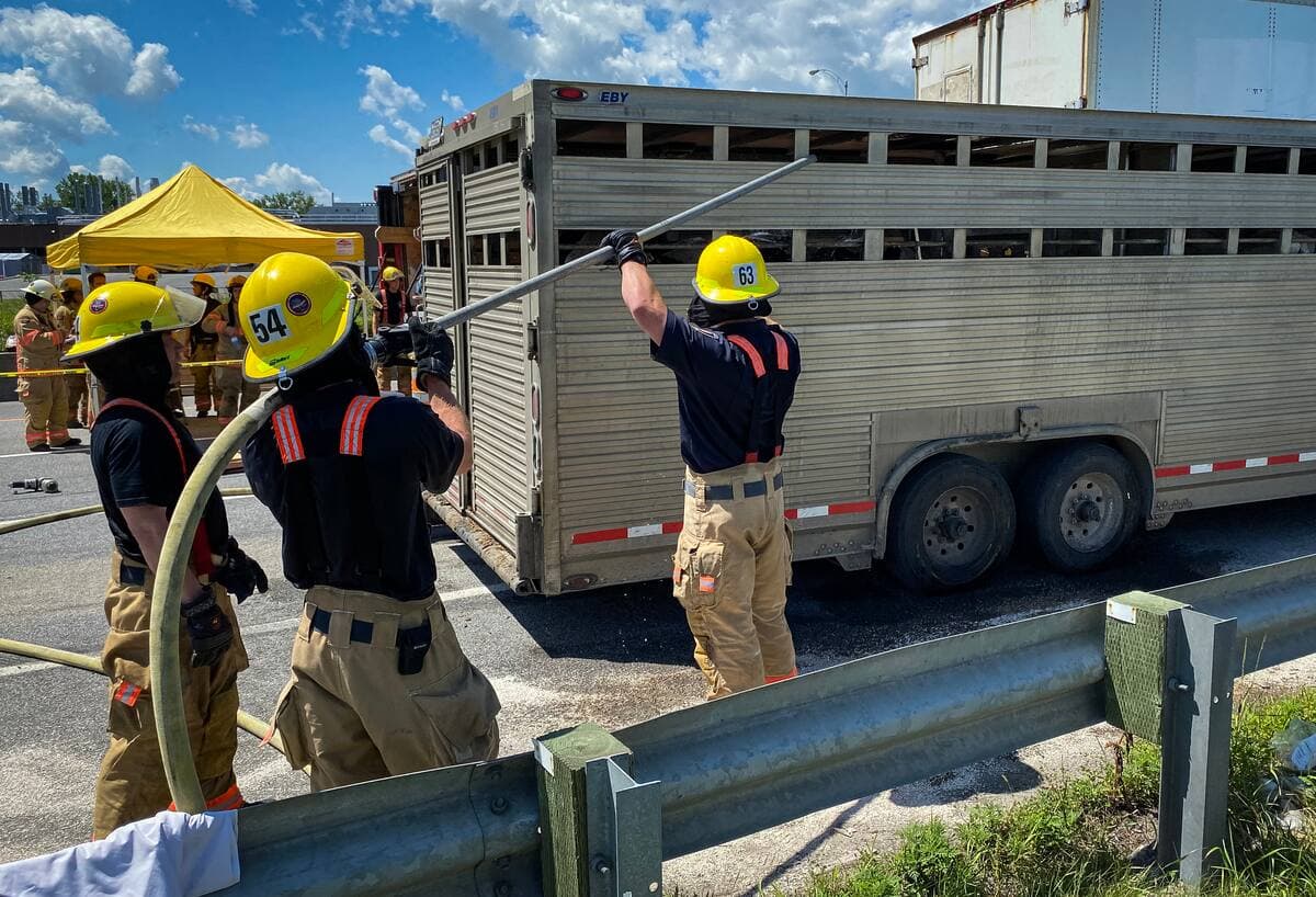 Photo Agence QMI, Maxime Deland