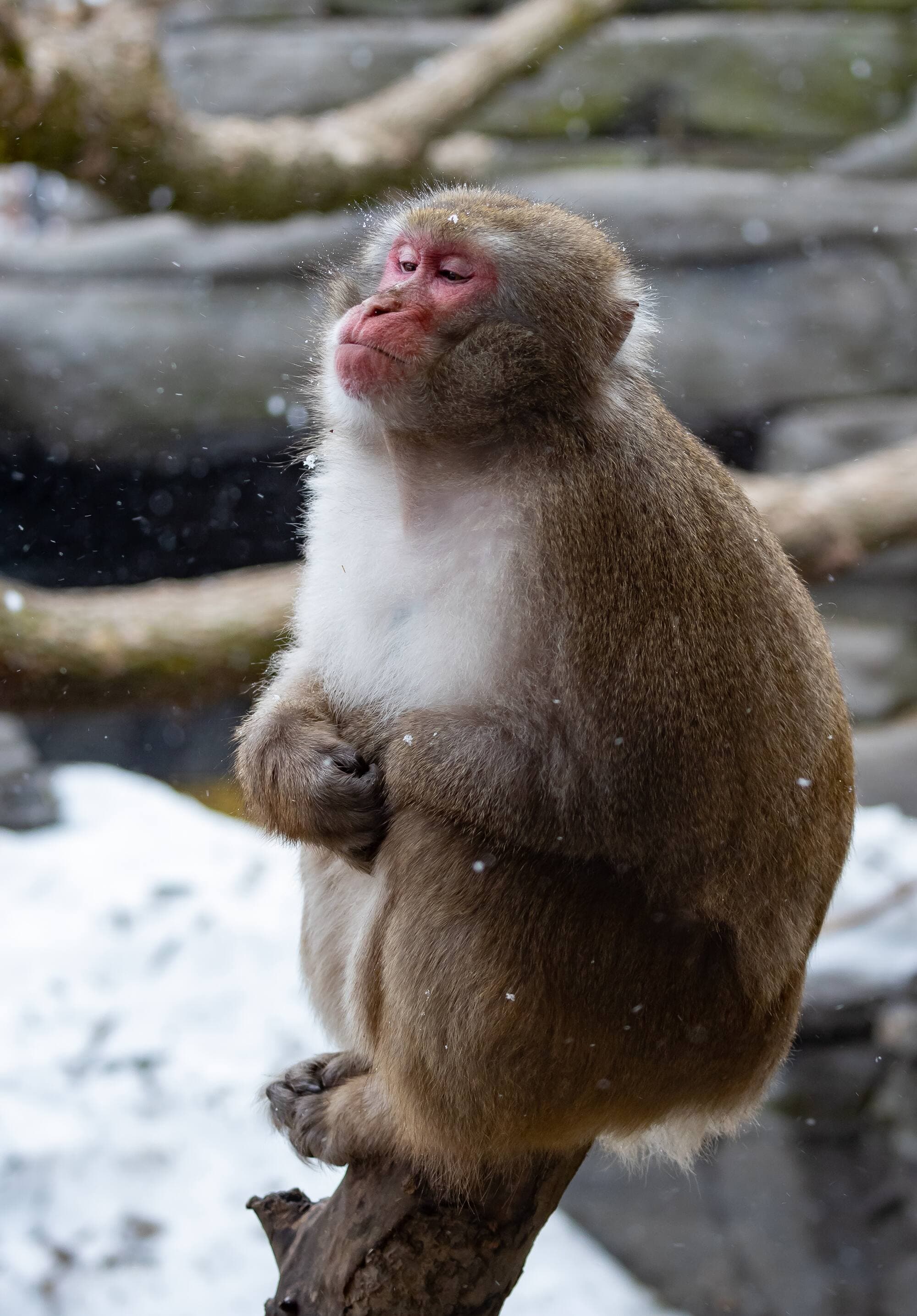 Photo fournie par Bertrand Duhamel