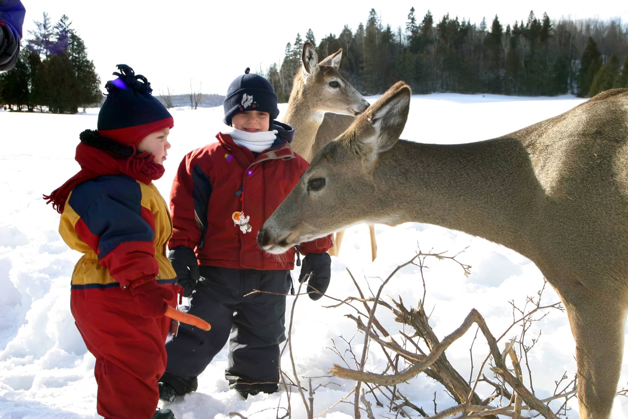 Photo fournie par parc Oméga