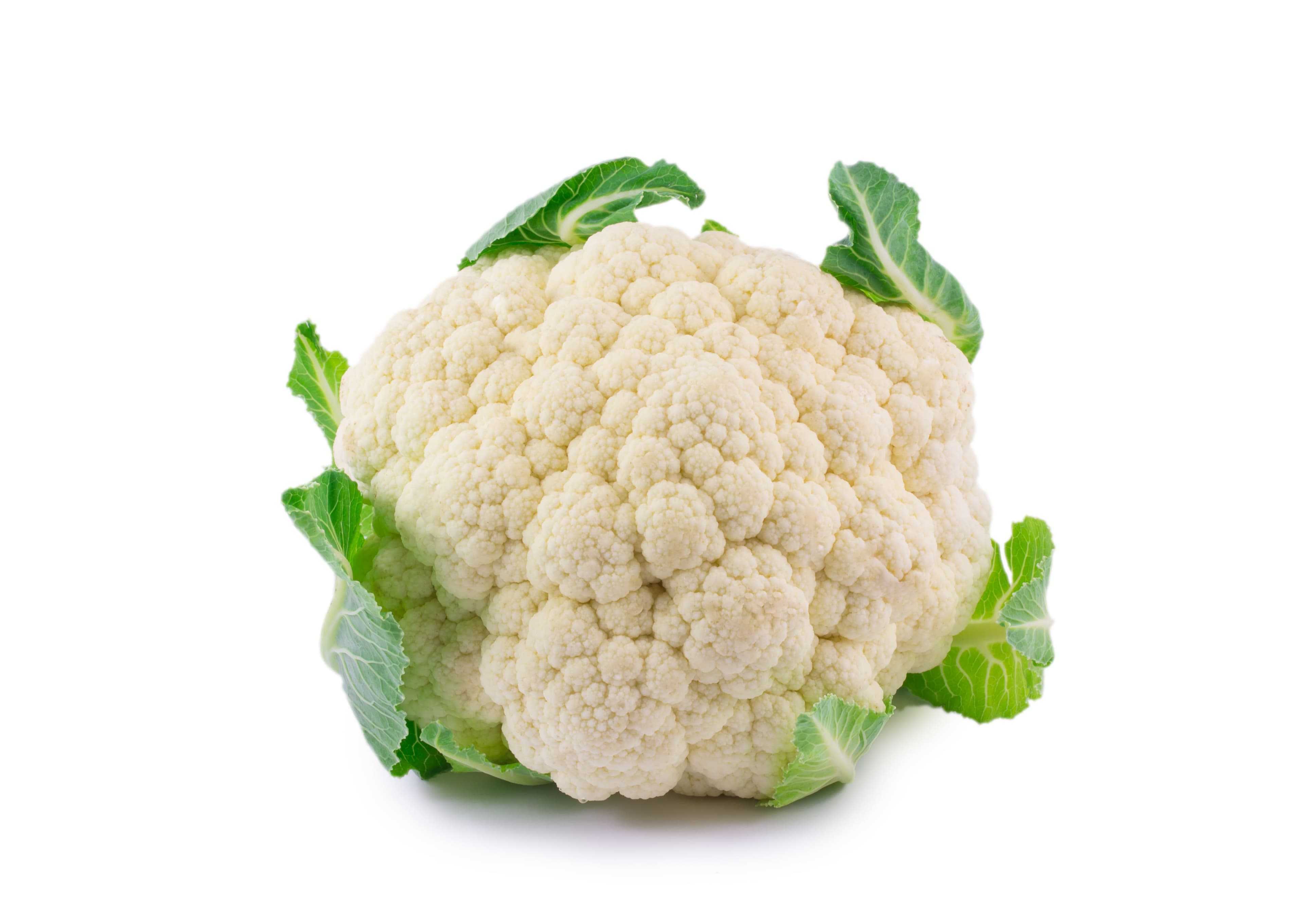 olya6105 - stock.adobe.com