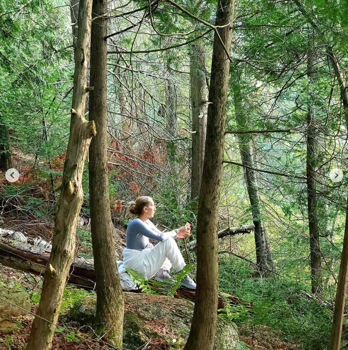 Instagram Céline Dion