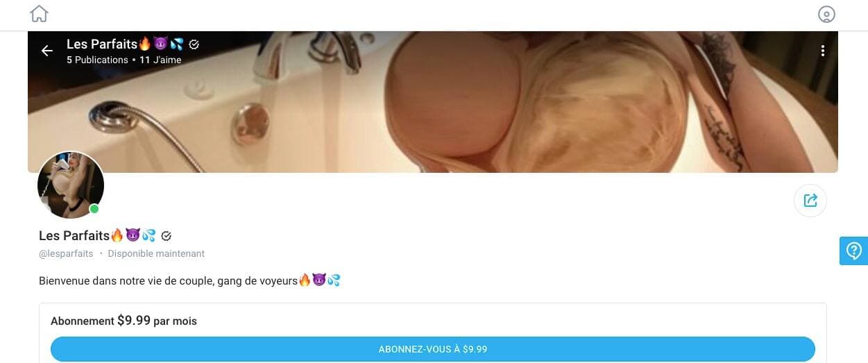 Capture d'écran / onlyfans.com/lesparfaits