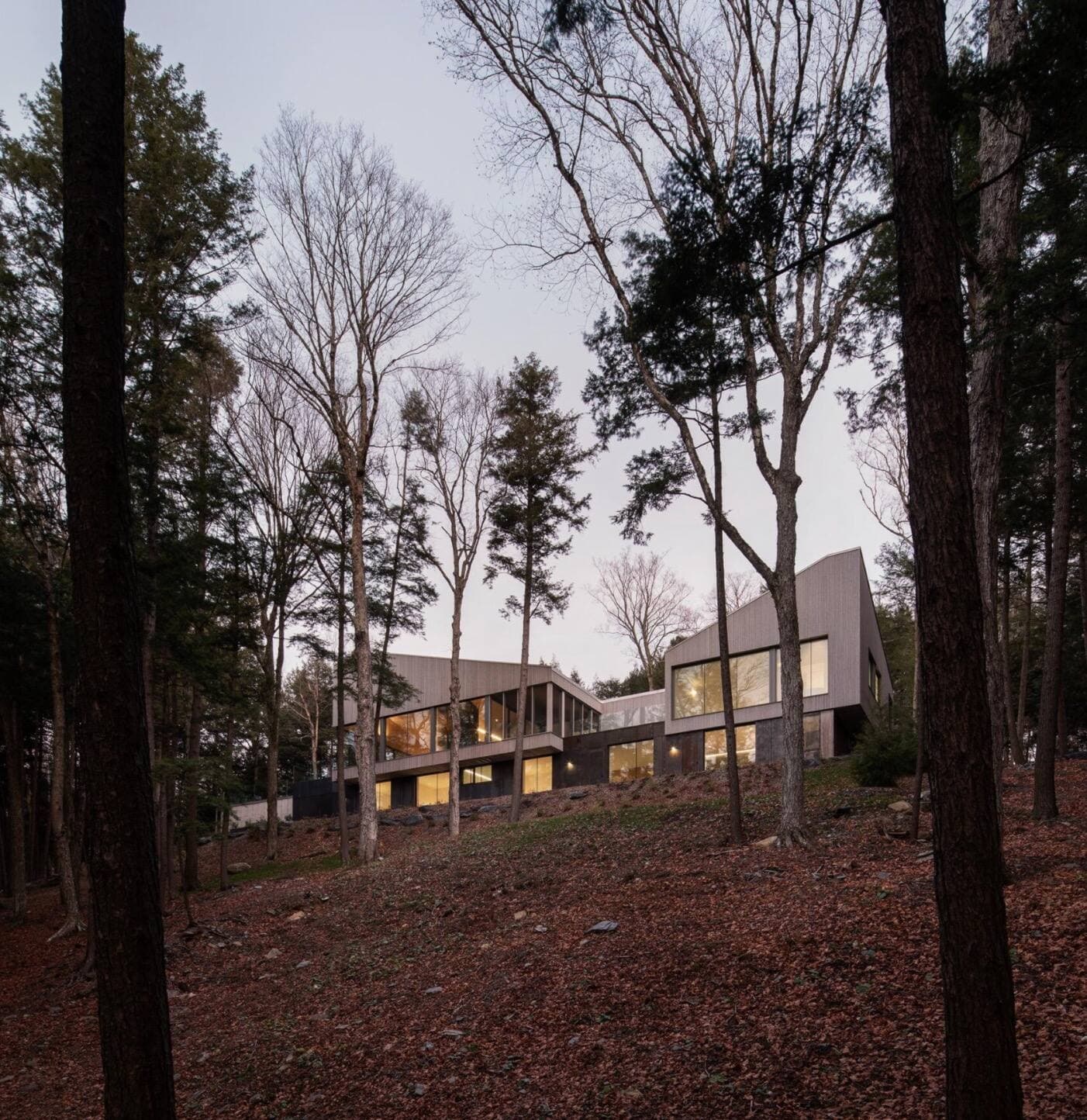 Adrien Williams / Nature Humaine