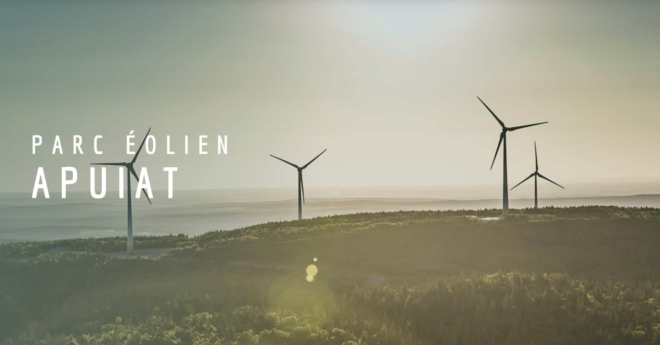 Capture d'écran site du projet éolien Apuiat