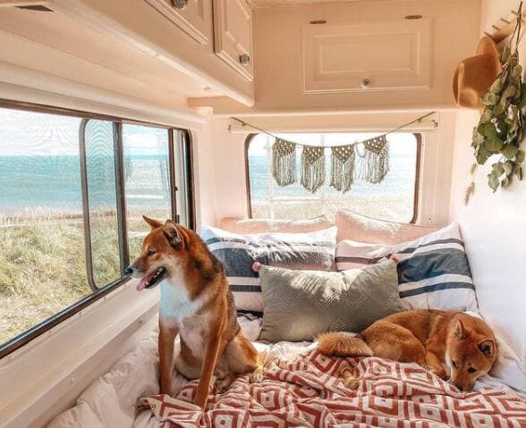 Instagram : isabellepmaraloi