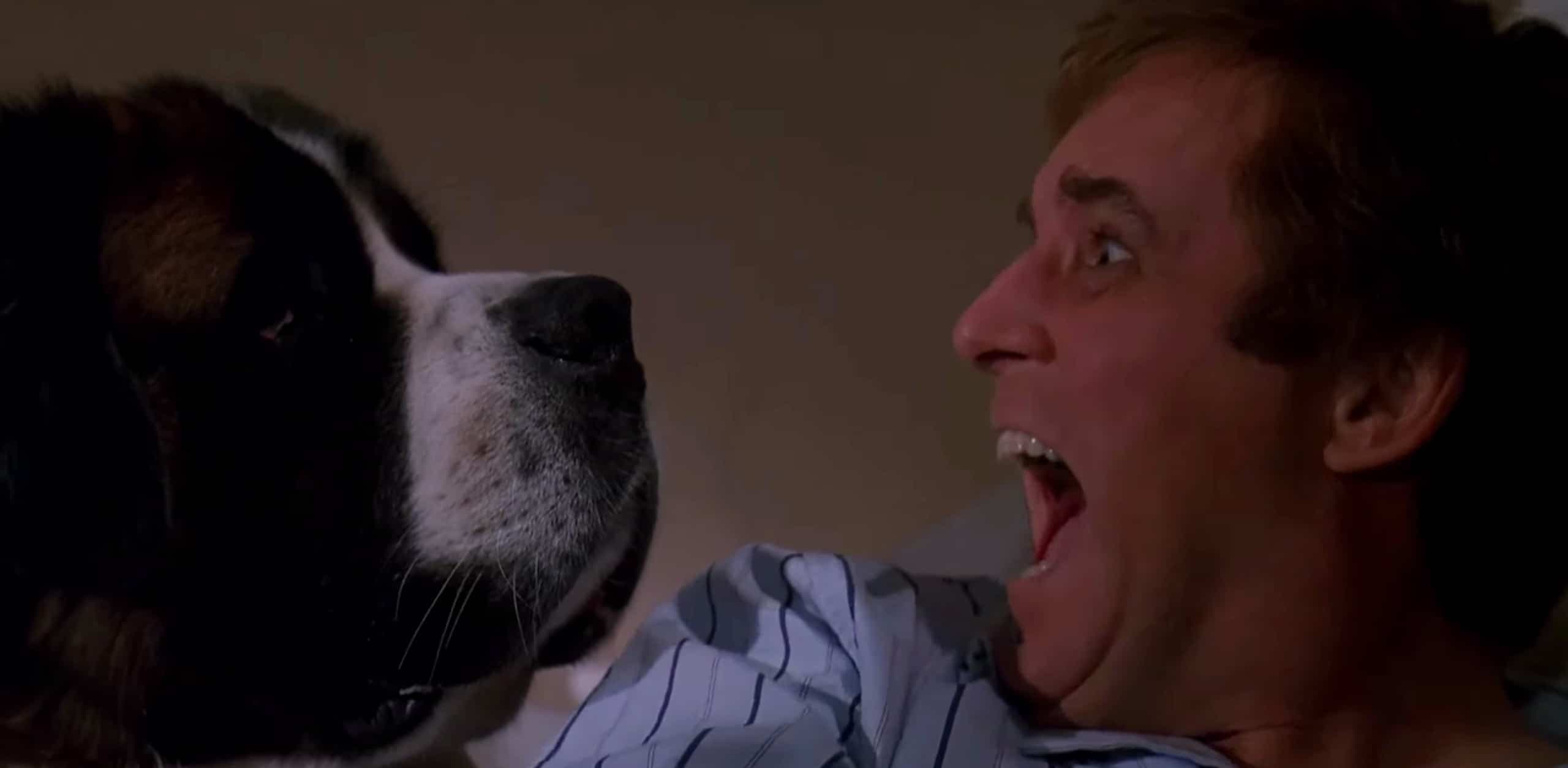 Charles Grodin dans Beethoven