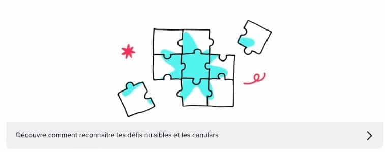 Capture d'écran | TikTok