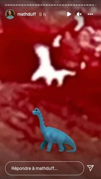 Captures d'écran / Instagram Mathieu Dufour