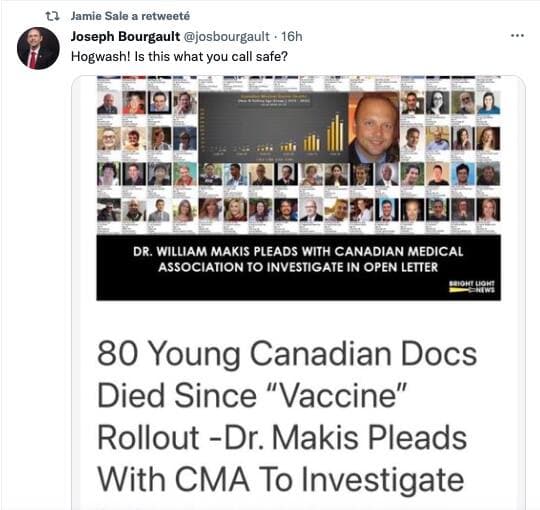 Capture d'écran / Twitter Jamie Salé